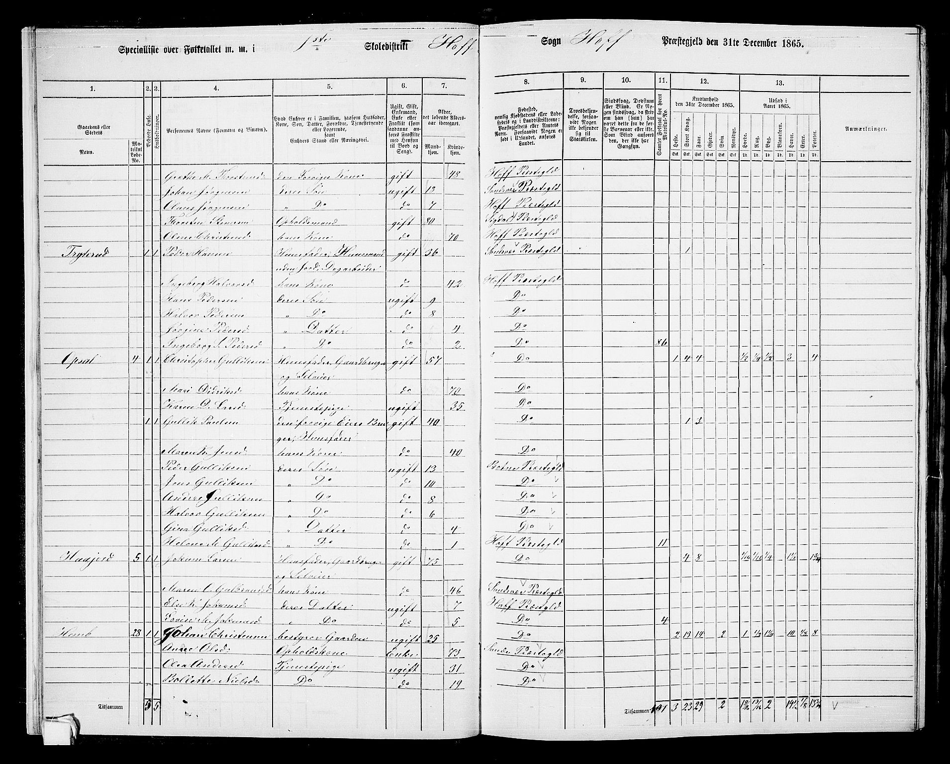 RA, 1865 census for Hof, 1865, p. 18