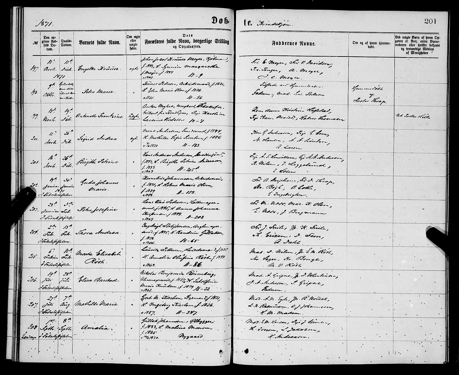 Domkirken sokneprestembete, AV/SAB-A-74801/H/Hab/L0013: Parish register (copy) no. B 6, 1869-1876, p. 201