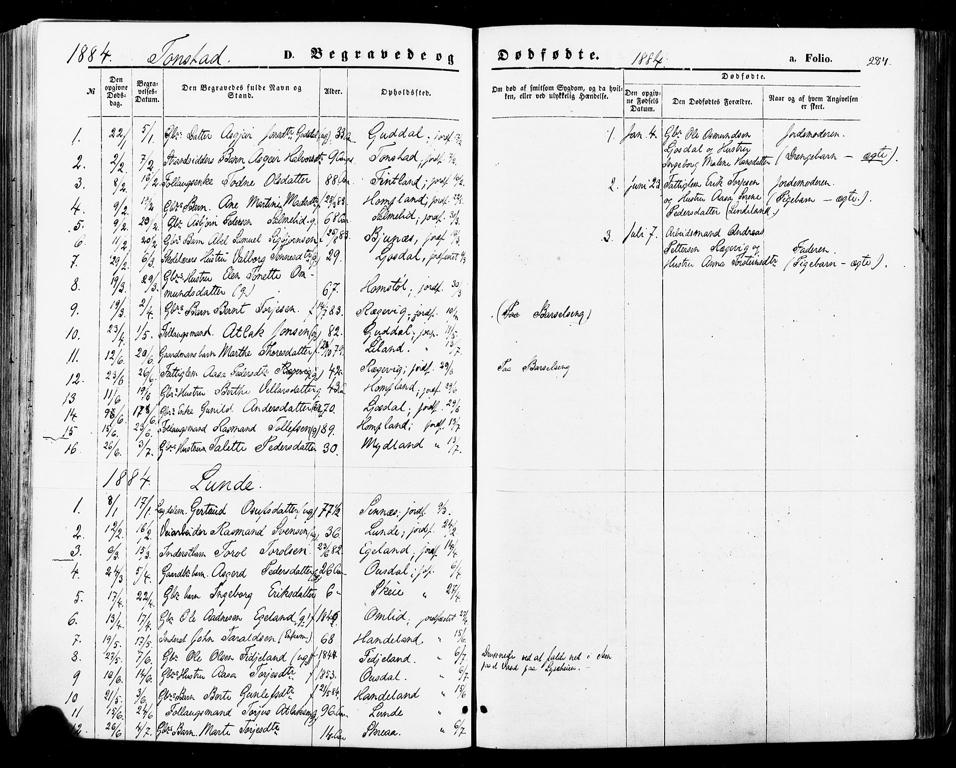 Sirdal sokneprestkontor, SAK/1111-0036/F/Fa/Fab/L0003: Parish register (official) no. A 3, 1874-1886, p. 284