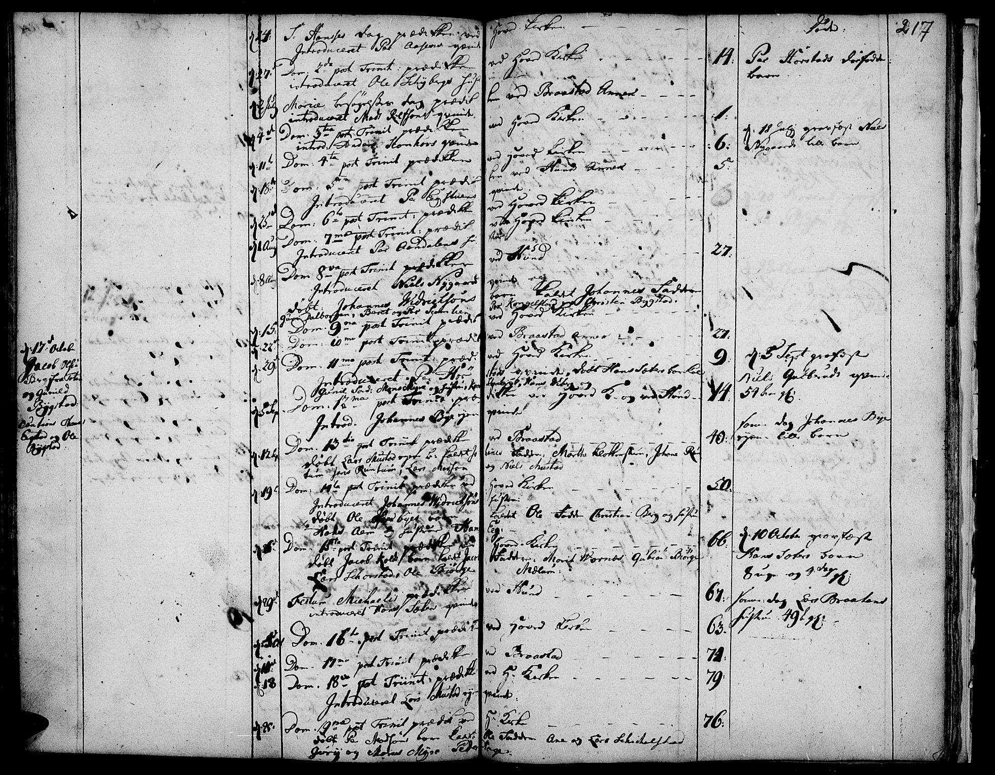 Vardal prestekontor, AV/SAH-PREST-100/H/Ha/Haa/L0001: Parish register (official) no. 1, 1706-1748, p. 217