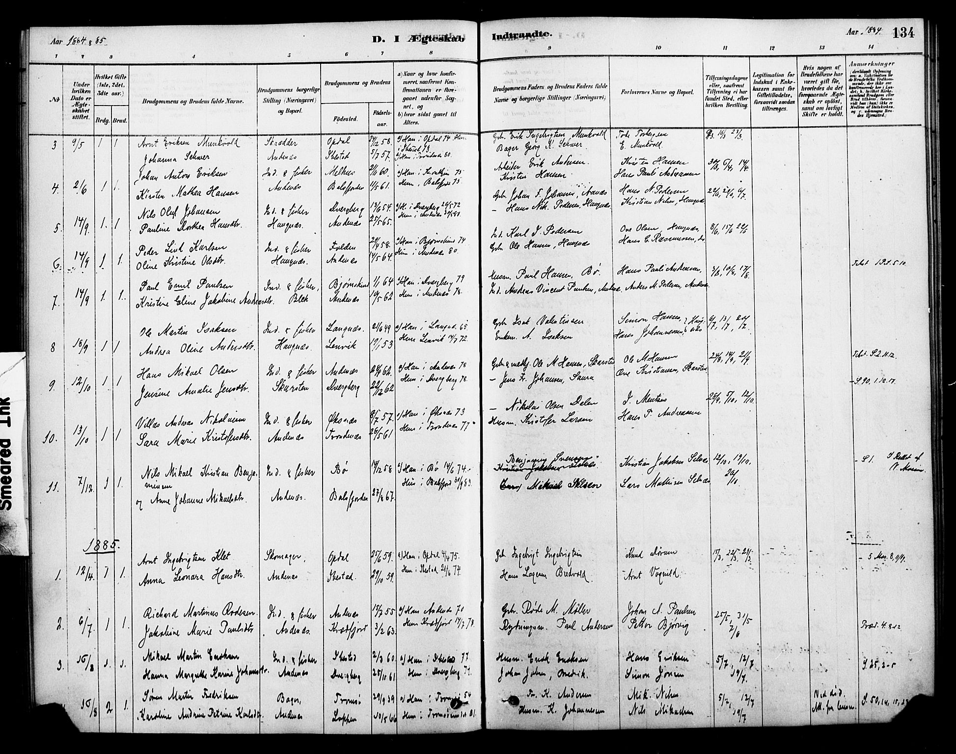 Ministerialprotokoller, klokkerbøker og fødselsregistre - Nordland, AV/SAT-A-1459/899/L1436: Parish register (official) no. 899A04, 1881-1896, p. 134