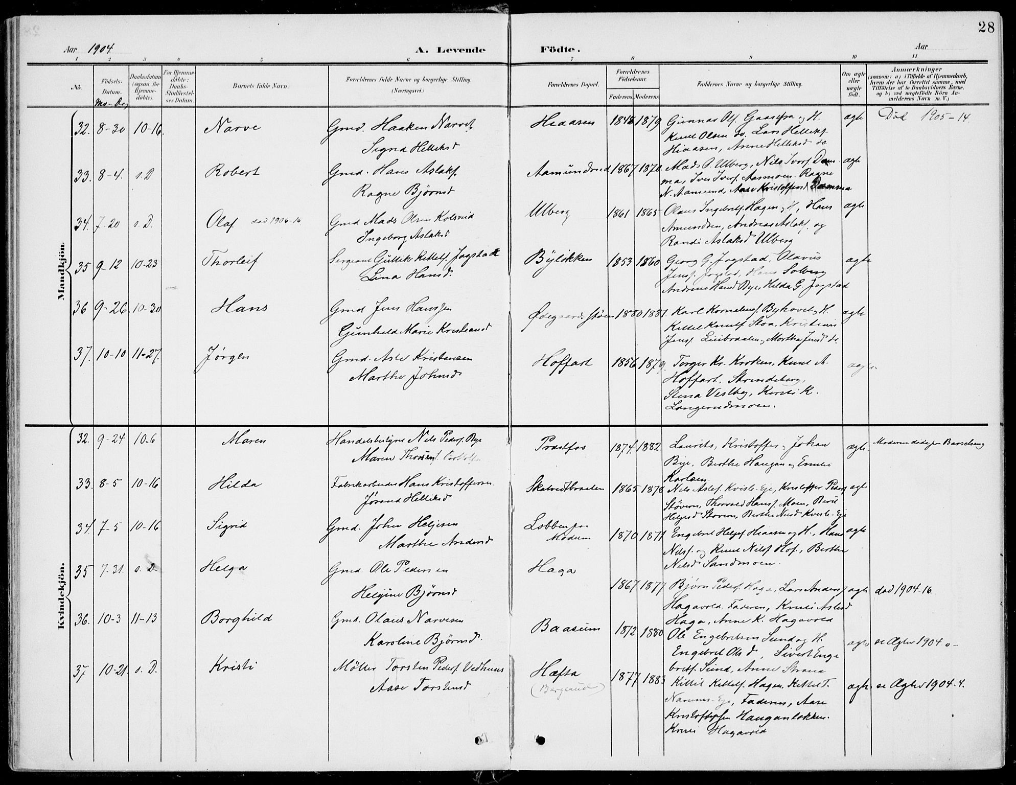 Sigdal kirkebøker, AV/SAKO-A-245/F/Fb/L0002: Parish register (official) no. II 2, 1901-1914, p. 28