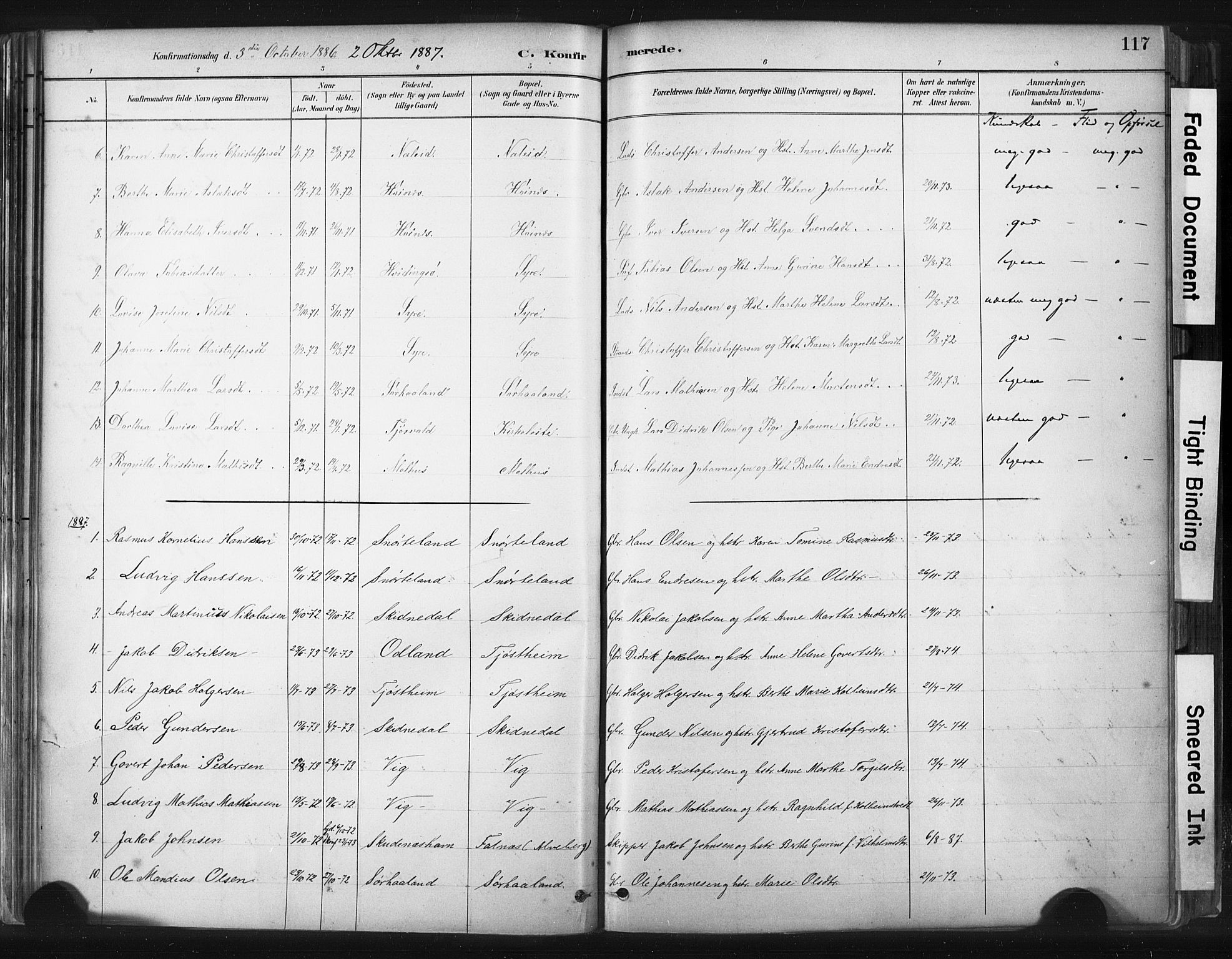 Skudenes sokneprestkontor, AV/SAST-A -101849/H/Ha/Haa/L0009: Parish register (official) no. A 6, 1882-1912, p. 117