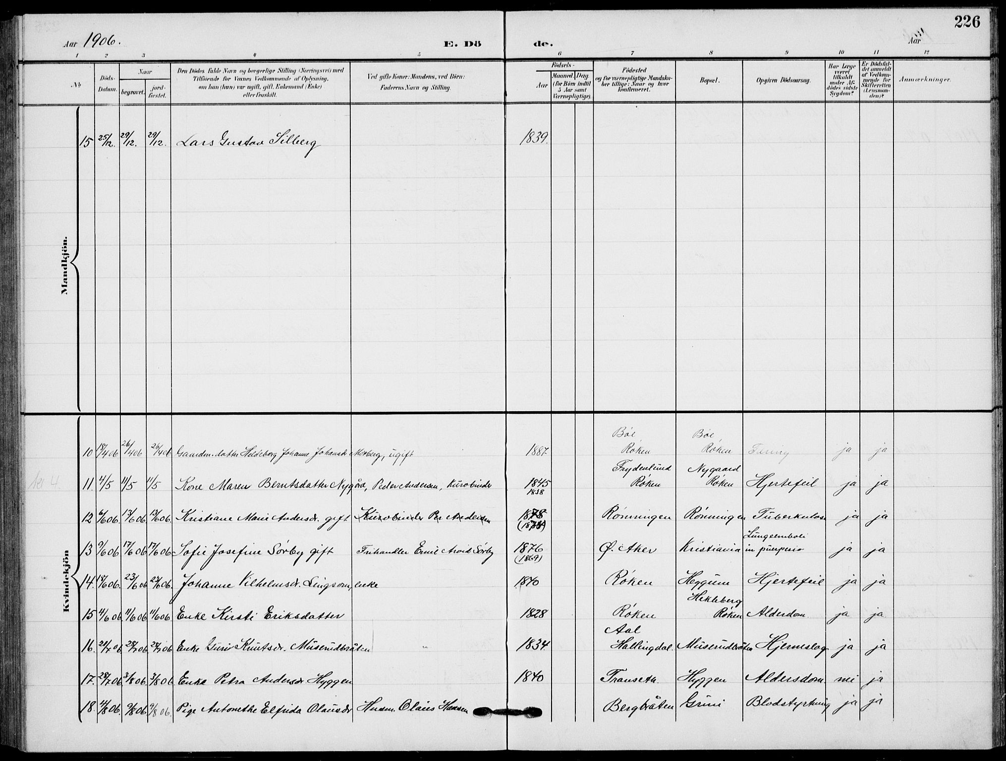 Røyken kirkebøker, AV/SAKO-A-241/G/Ga/L0005: Parish register (copy) no. 5, 1903-1918, p. 226