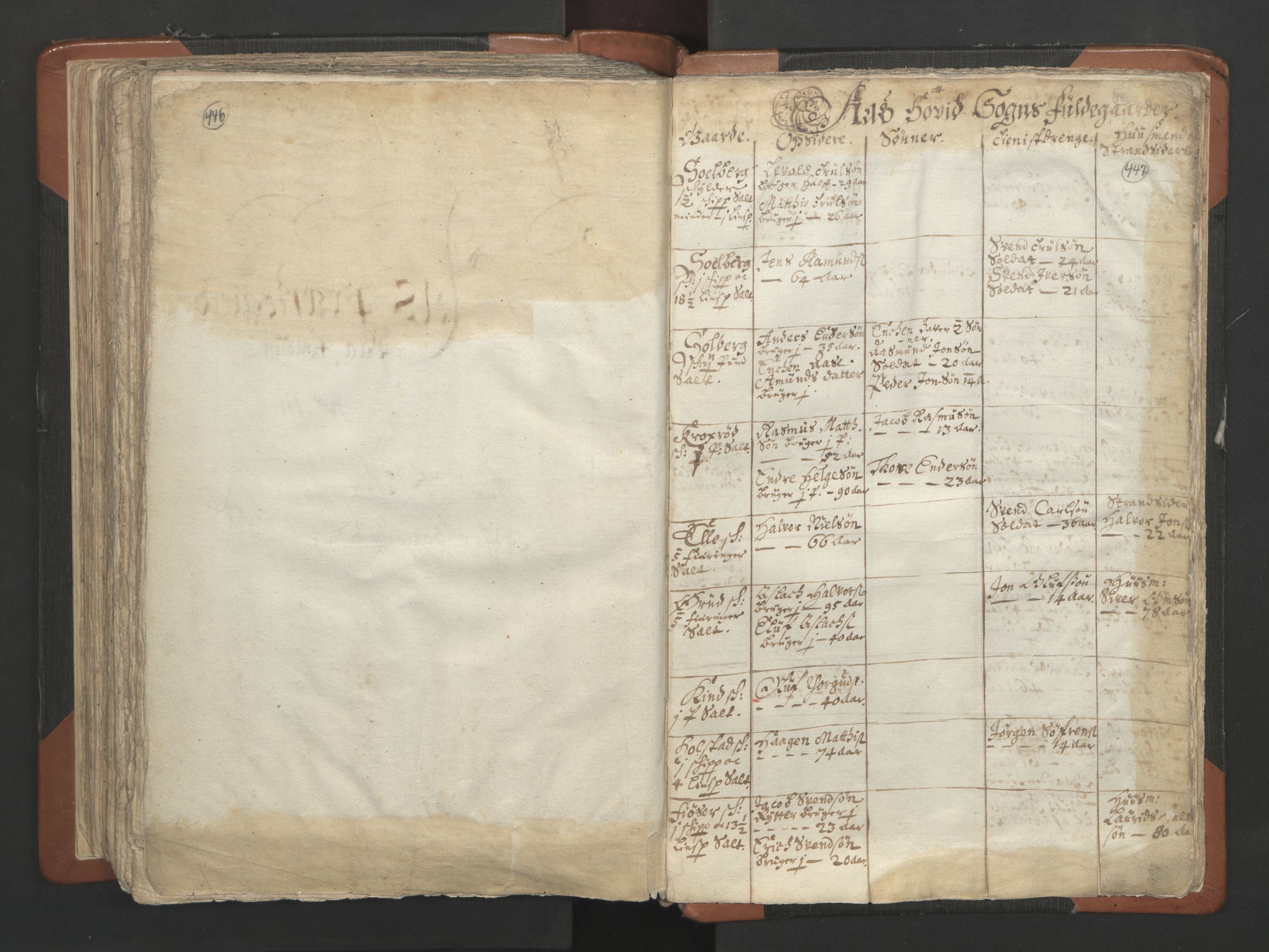 RA, Vicar's Census 1664-1666, no. 2: Øvre Borgesyssel deanery, 1664-1666, p. 446-447
