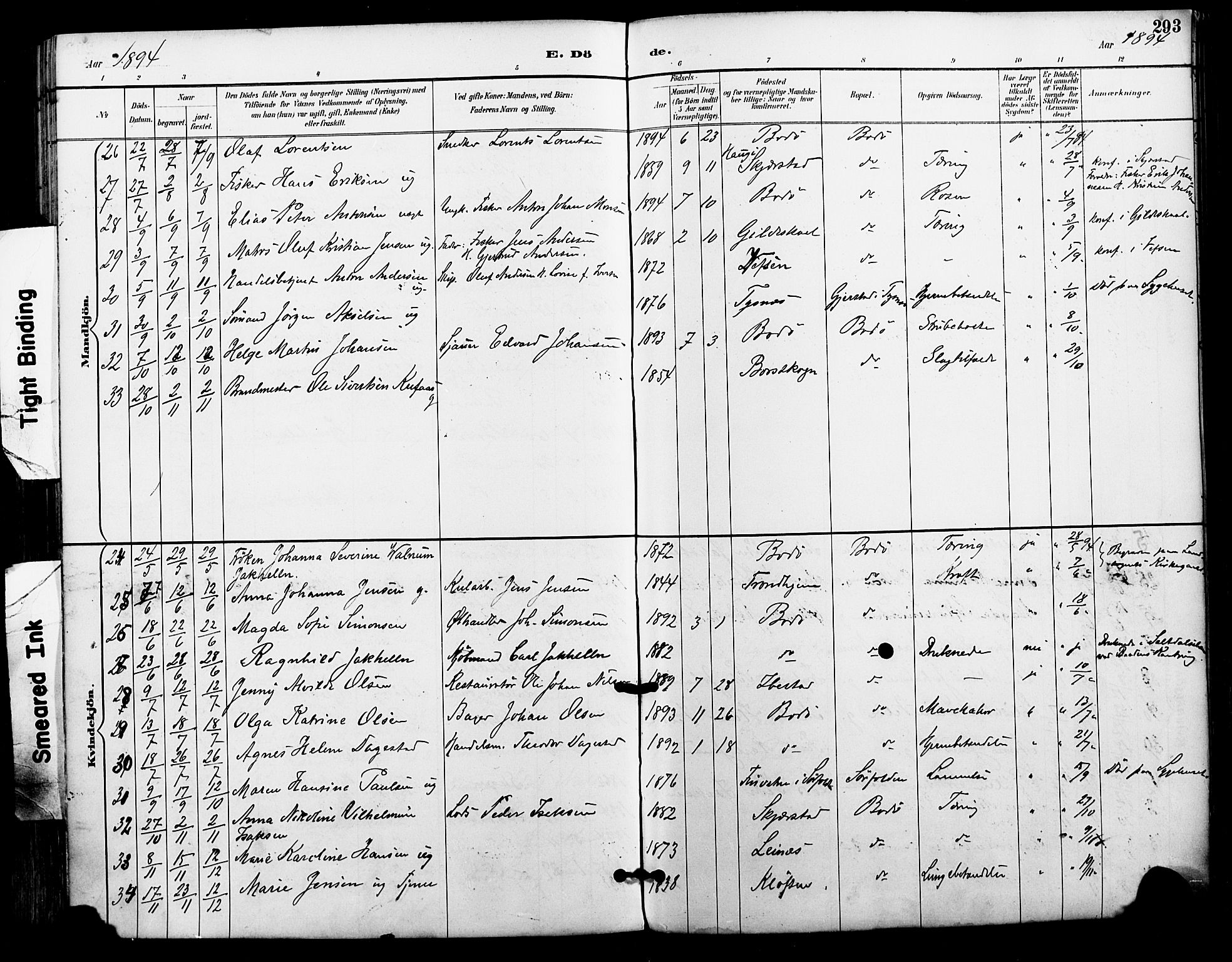 Ministerialprotokoller, klokkerbøker og fødselsregistre - Nordland, AV/SAT-A-1459/801/L0010: Parish register (official) no. 801A10, 1888-1899, p. 293