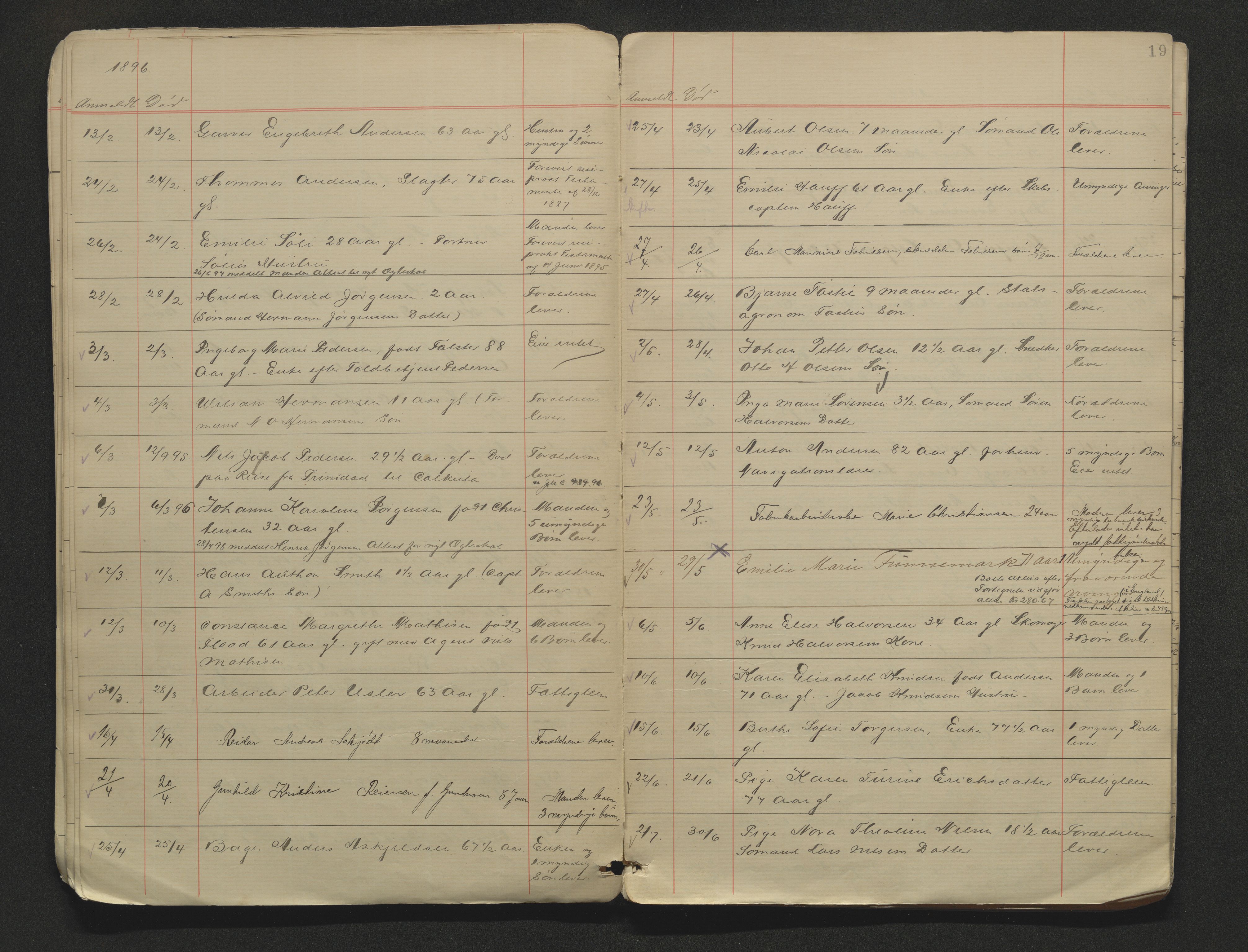 Porsgrunn byfogd, AV/SAKO-A-106/H/Ha/L0002: Dødsanmeldelseprotokoll, 1888-1908, p. 19