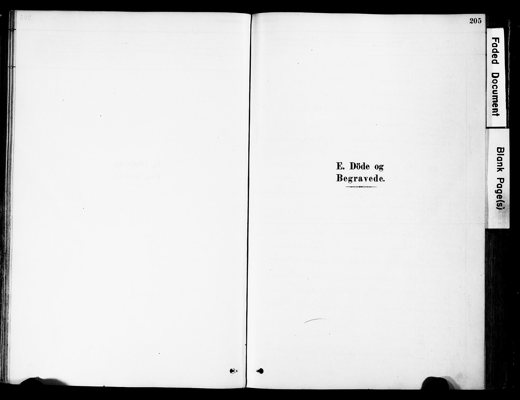 Ringebu prestekontor, AV/SAH-PREST-082/H/Ha/Haa/L0008: Parish register (official) no. 8, 1878-1898, p. 205