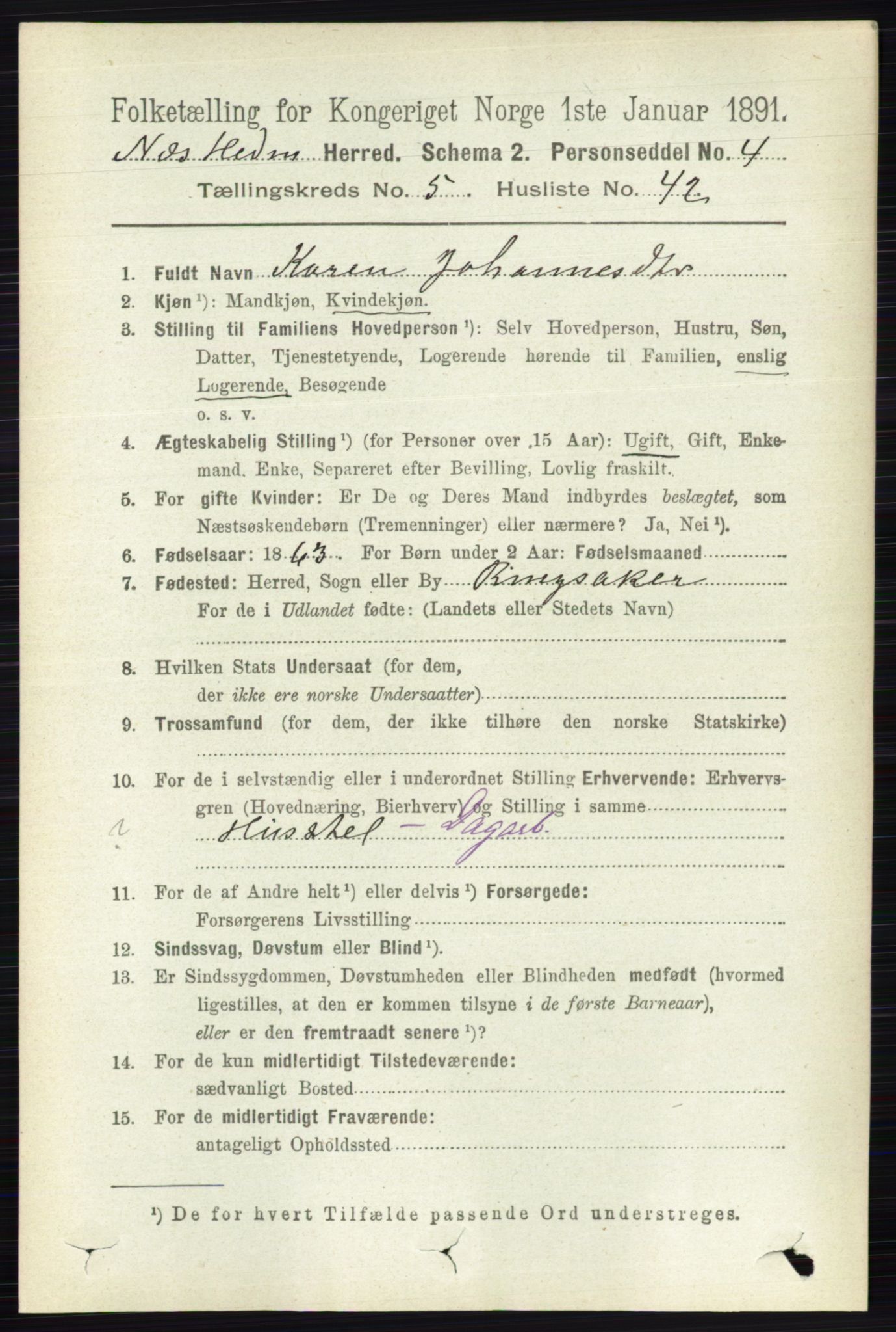 RA, 1891 census for 0411 Nes, 1891, p. 2853