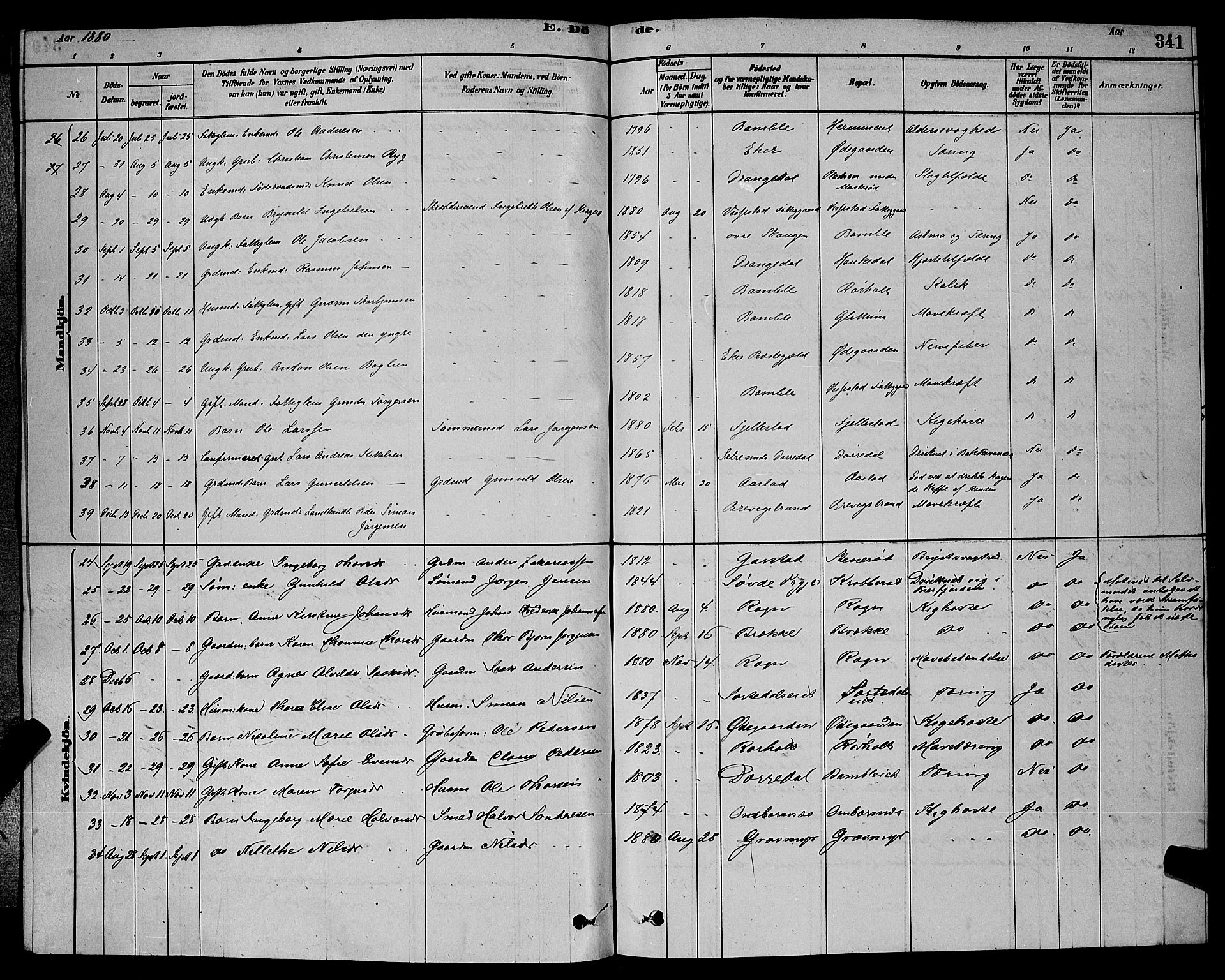 Bamble kirkebøker, AV/SAKO-A-253/G/Ga/L0008: Parish register (copy) no. I 8, 1878-1888, p. 341