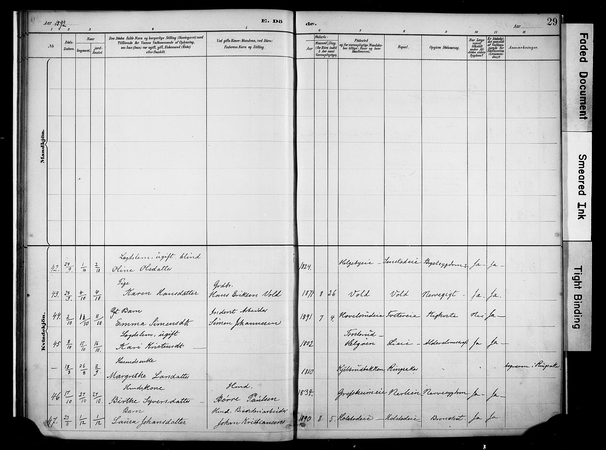 Nes prestekontor, Hedmark, AV/SAH-PREST-020/K/Ka/L0011: Parish register (official) no. 11, 1887-1905, p. 29