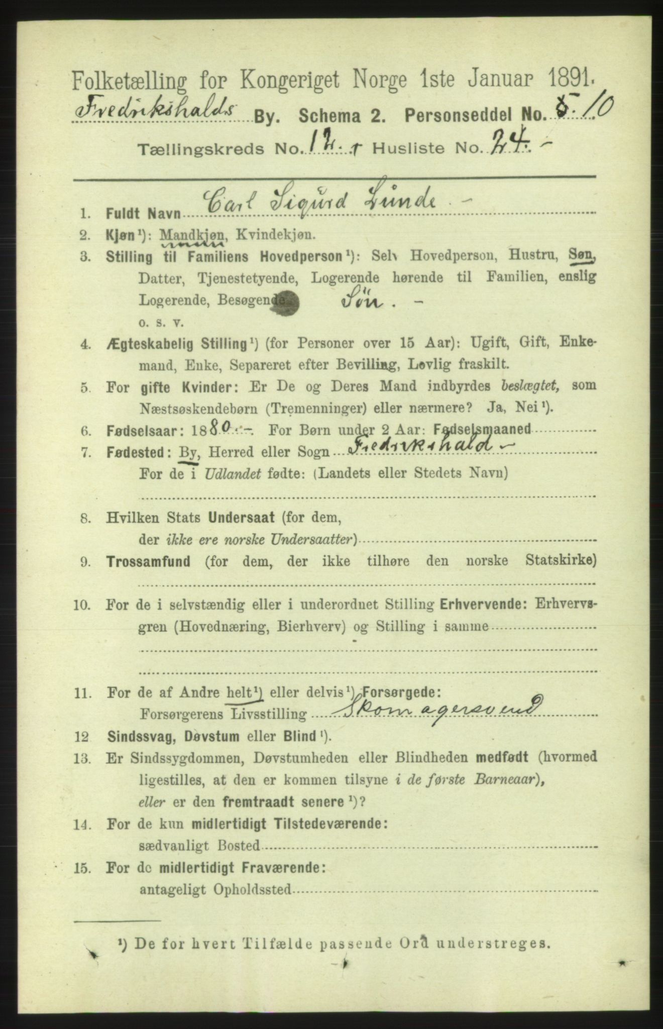RA, 1891 census for 0101 Fredrikshald, 1891, p. 8599