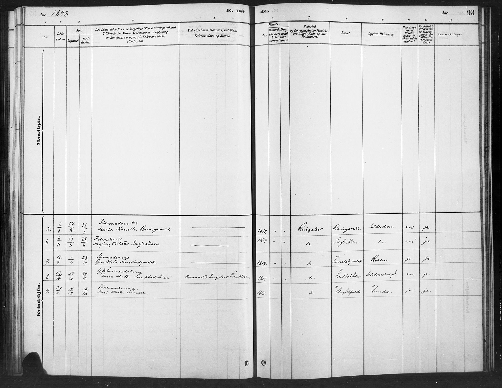 Ringebu prestekontor, SAH/PREST-082/H/Ha/Haa/L0010: Parish register (official) no. 10, 1878-1898, p. 93