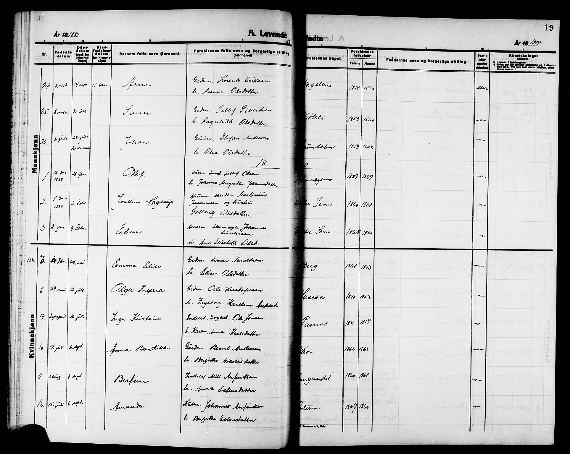 Ministerialprotokoller, klokkerbøker og fødselsregistre - Nord-Trøndelag, AV/SAT-A-1458/749/L0487: Parish register (official) no. 749D03, 1887-1902, p. 19