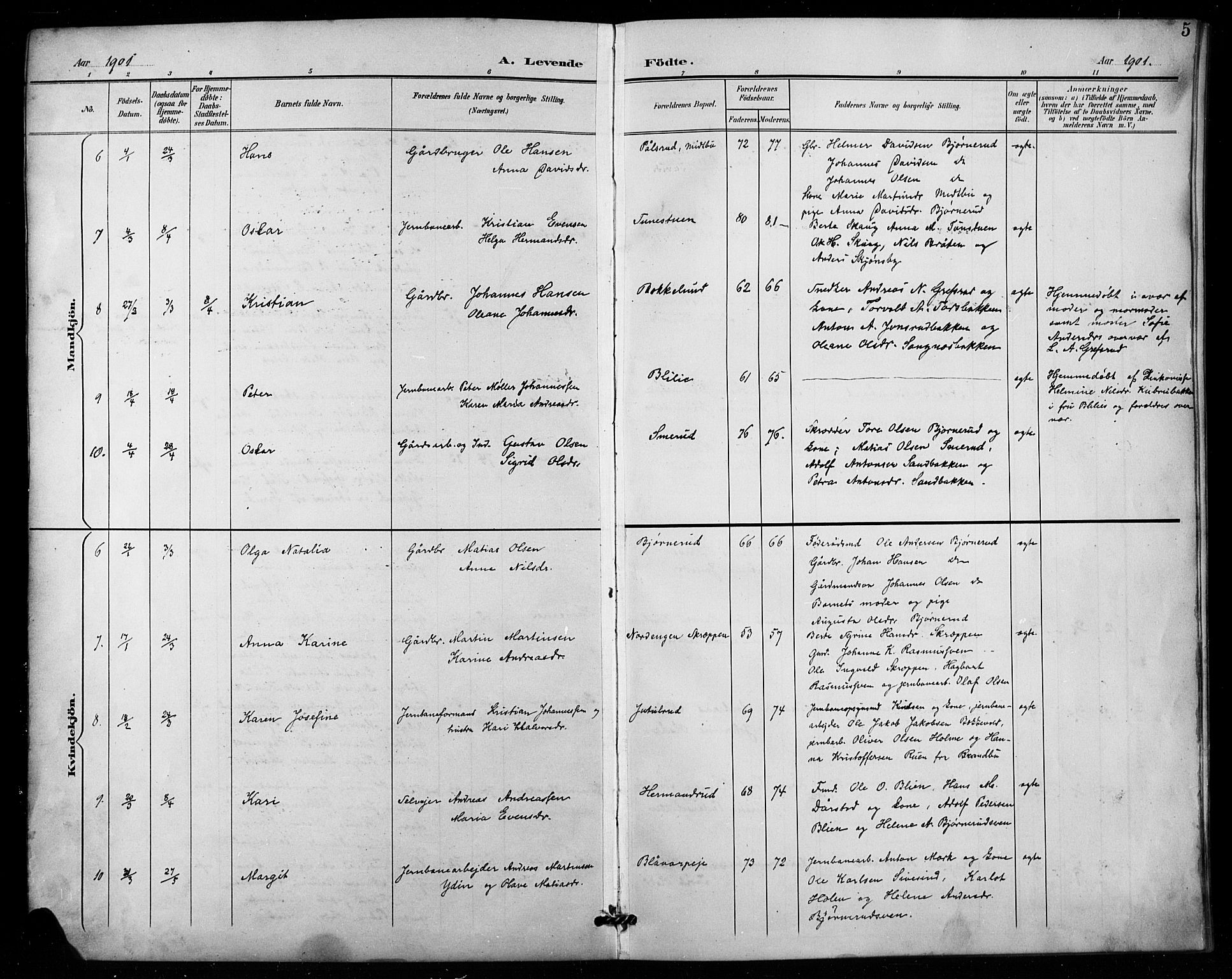Vestre Toten prestekontor, AV/SAH-PREST-108/H/Ha/Hab/L0016: Parish register (copy) no. 16, 1901-1915, p. 5