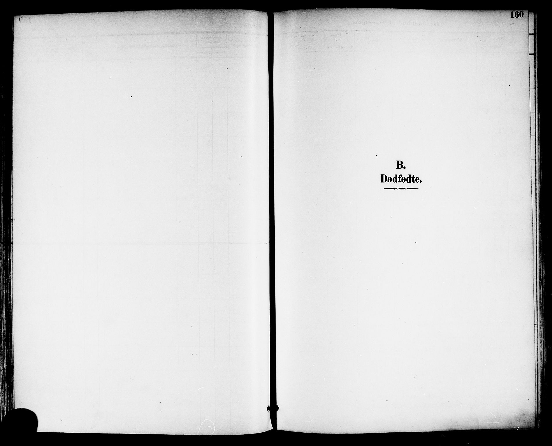 Tønsberg kirkebøker, SAKO/A-330/F/Fa/L0012: Parish register (official) no. I 12, 1891-1899, p. 160