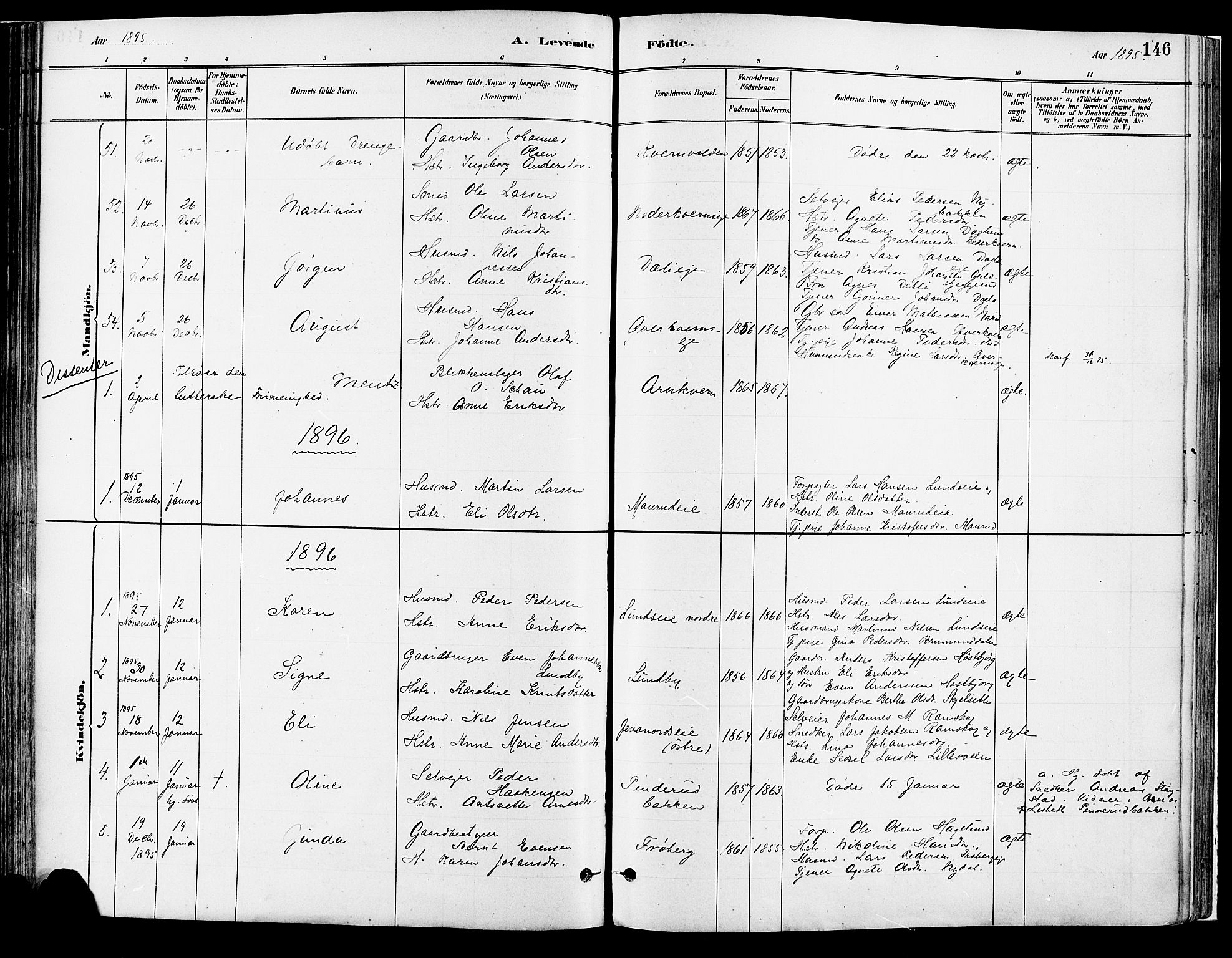 Vang prestekontor, Hedmark, SAH/PREST-008/H/Ha/Haa/L0018A: Parish register (official) no. 18A, 1880-1906, p. 146