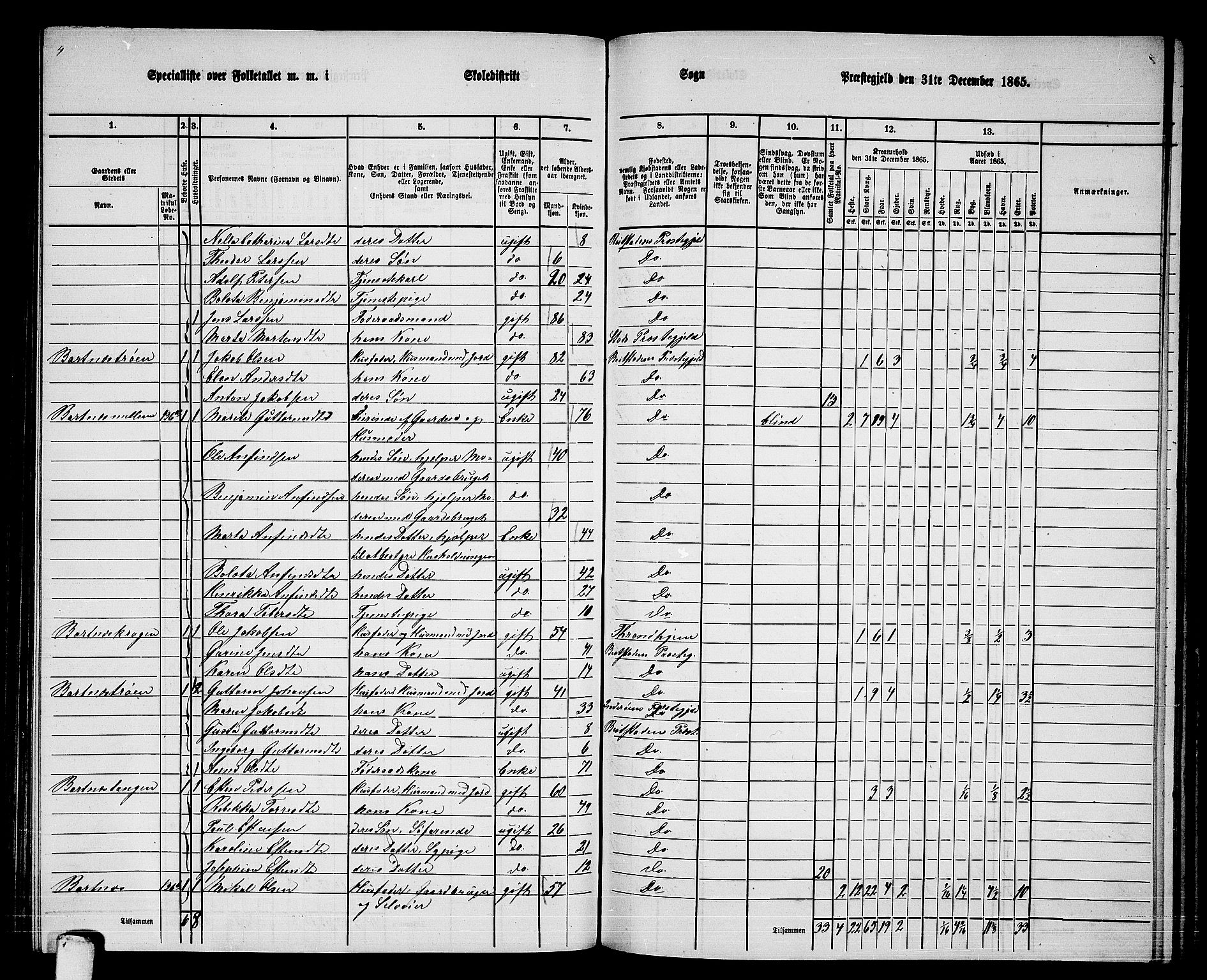 RA, 1865 census for Beitstad, 1865, p. 120