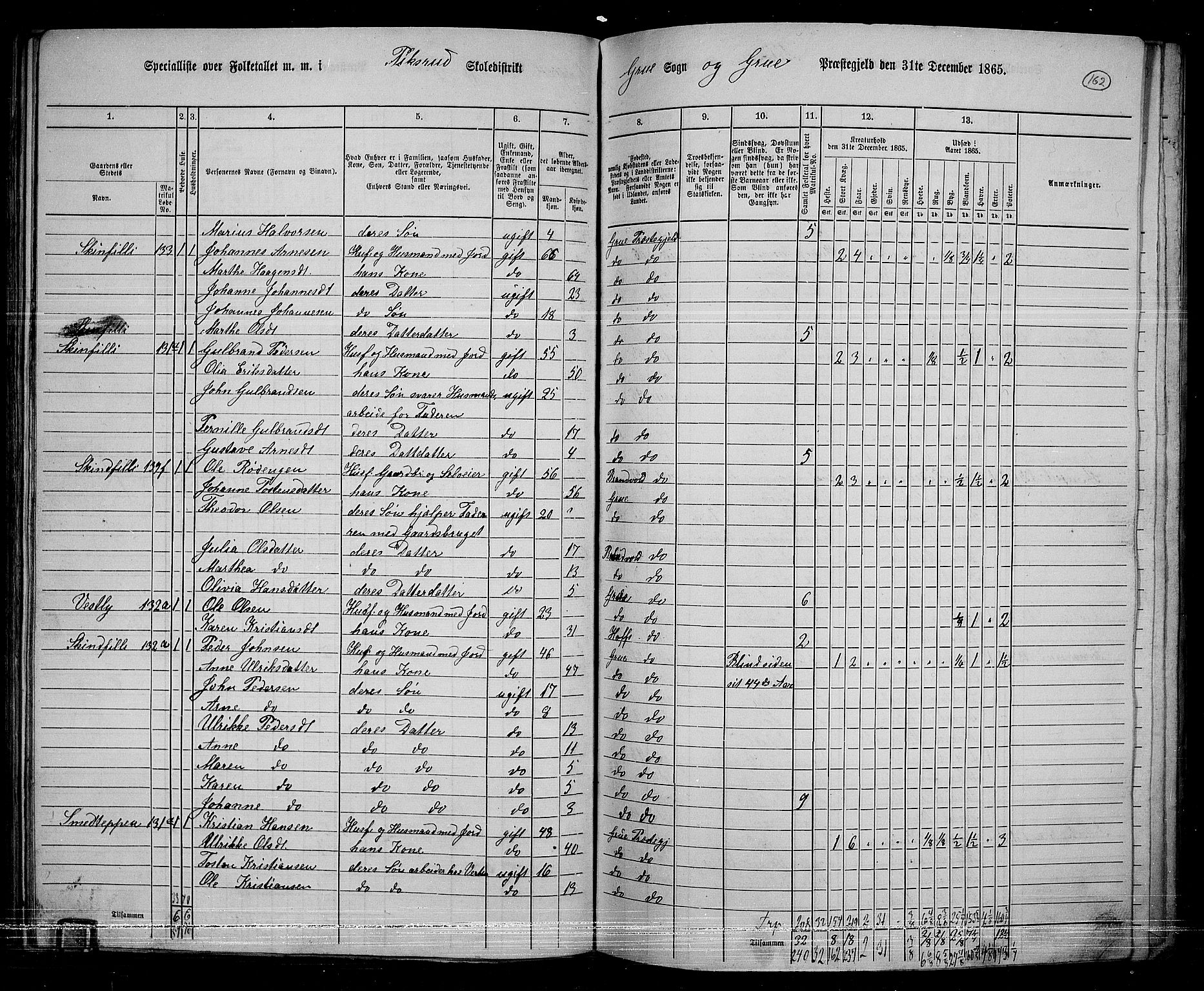 RA, 1865 census for Grue, 1865, p. 141