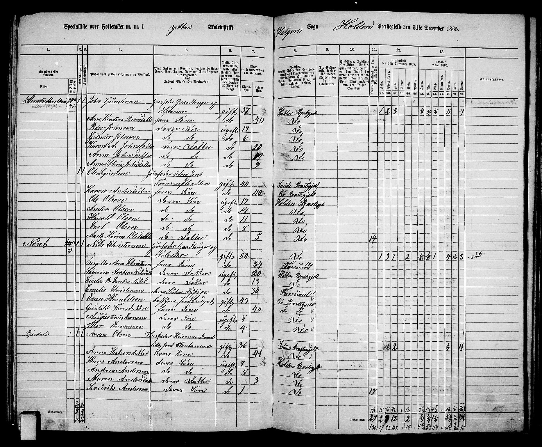 RA, 1865 census for Holla, 1865, p. 107