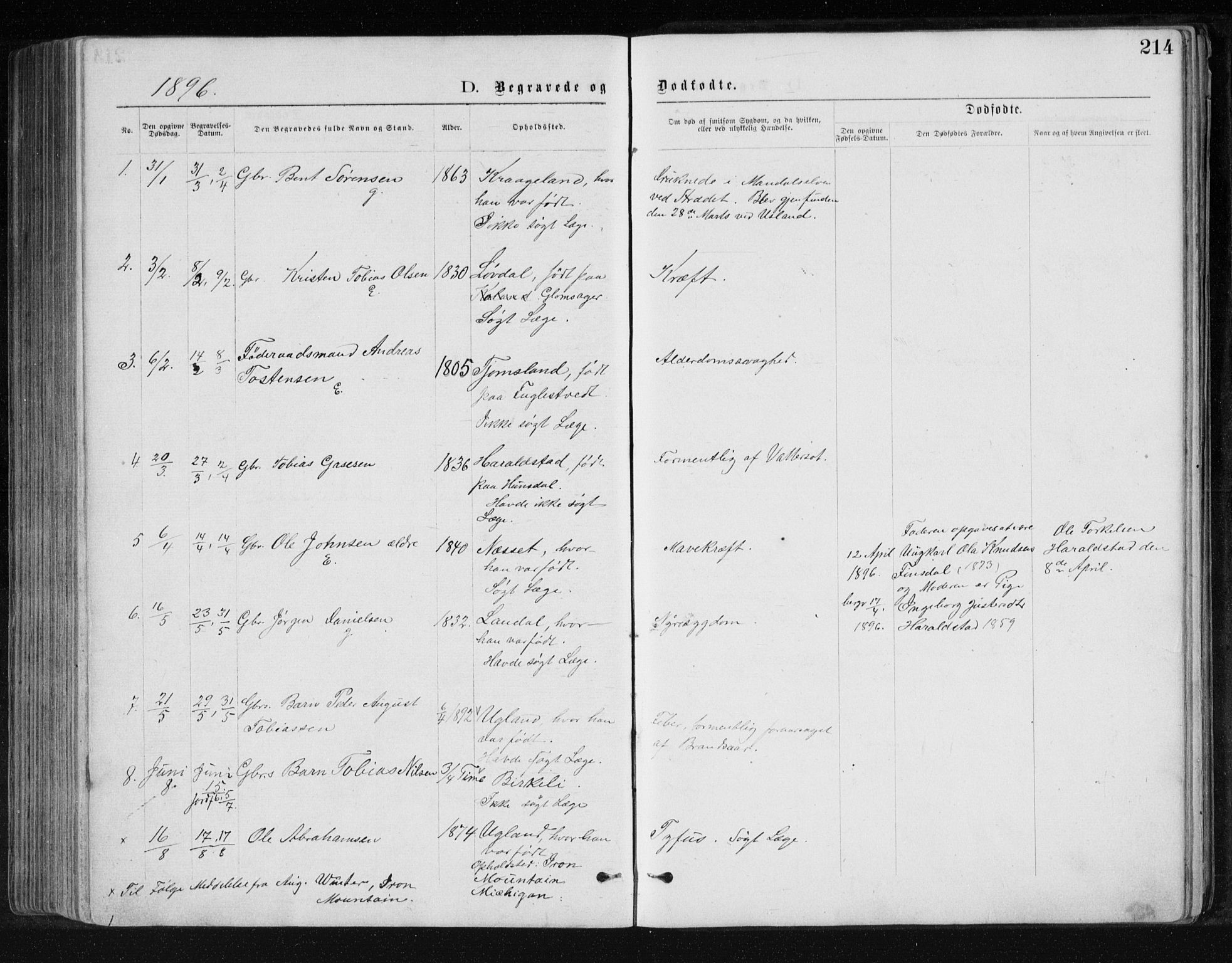 Holum sokneprestkontor, AV/SAK-1111-0022/F/Fb/Fbb/L0003: Parish register (copy) no. B 3, 1875-1898, p. 214