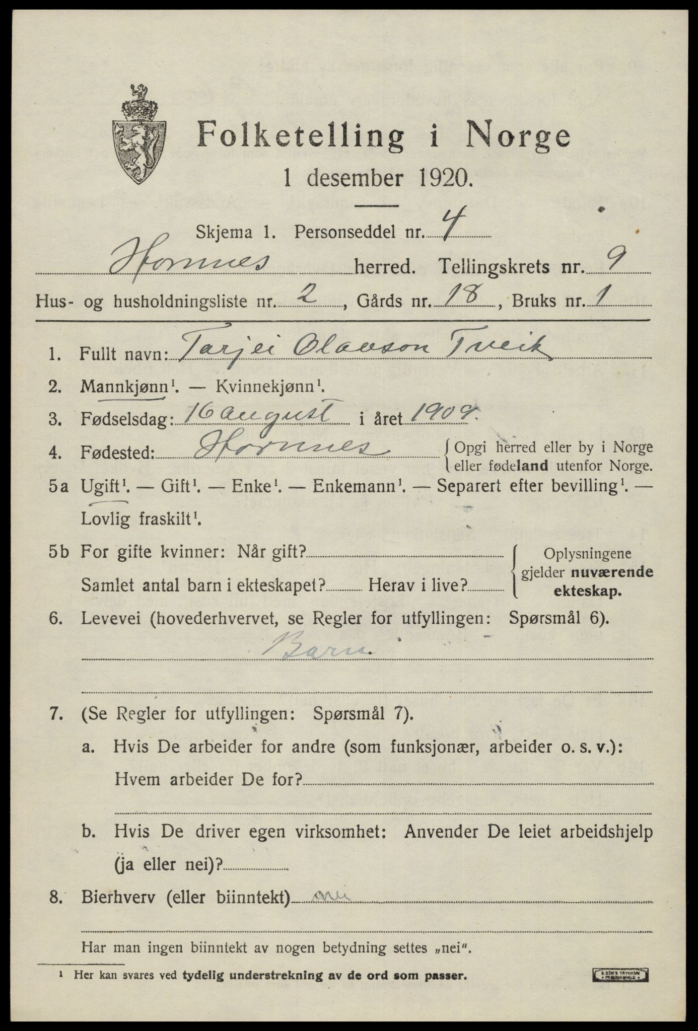 SAK, 1920 census for Hornnes, 1920, p. 2207