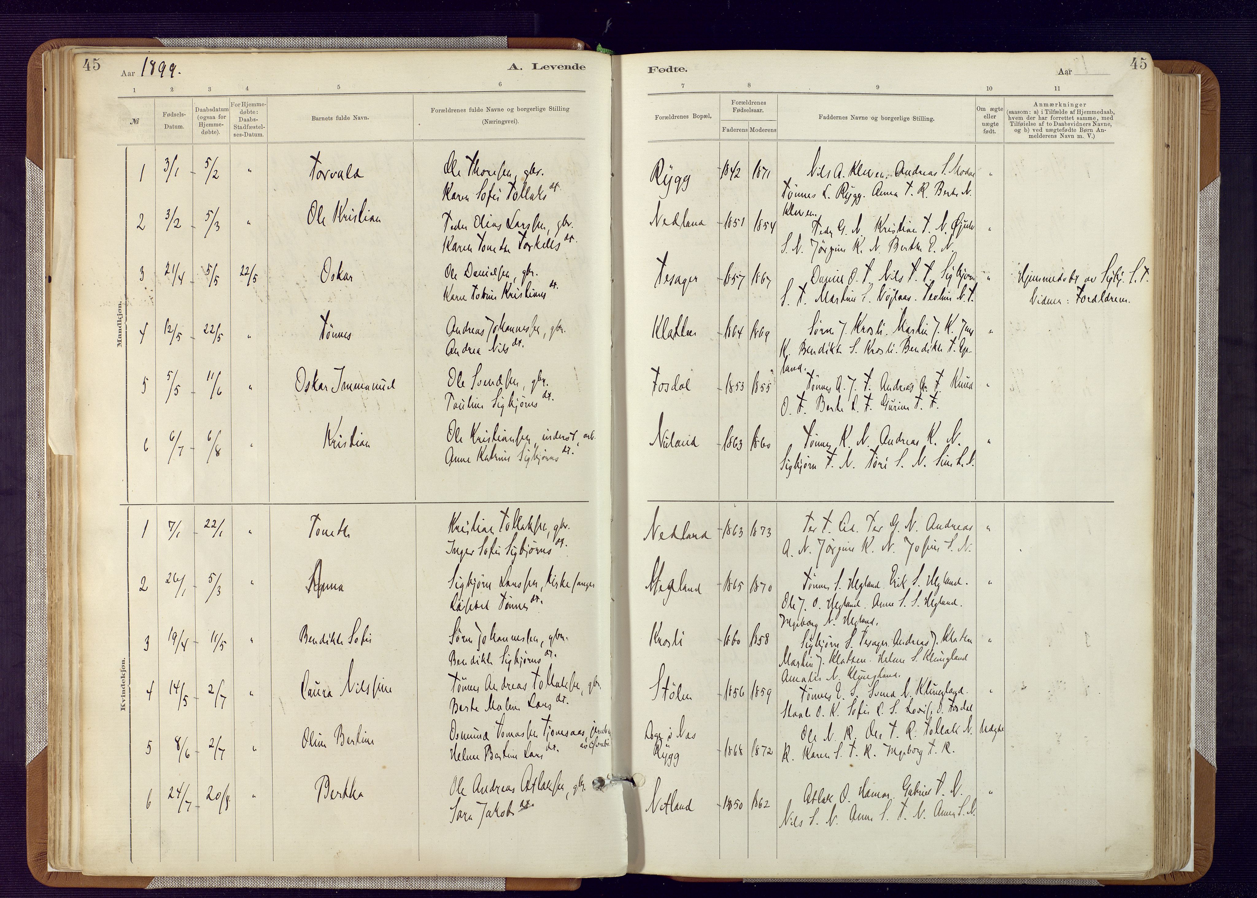 Bakke sokneprestkontor, SAK/1111-0002/F/Fa/Fab/L0003: Parish register (official) no. A 3, 1884-1921, p. 45