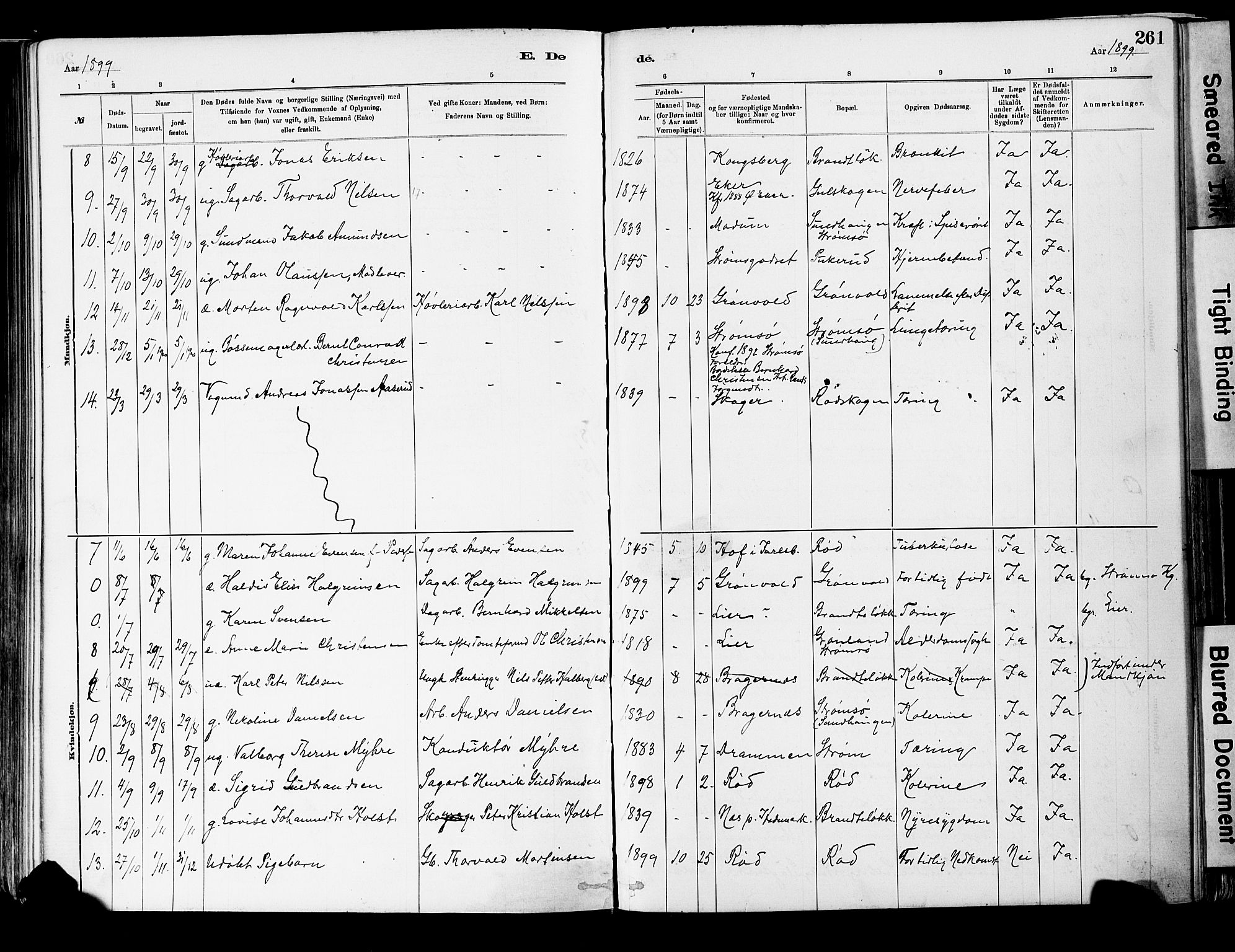 Strømsgodset kirkebøker, AV/SAKO-A-324/F/Fa/L0001: Parish register (official) no. 1, 1885-1909, p. 261