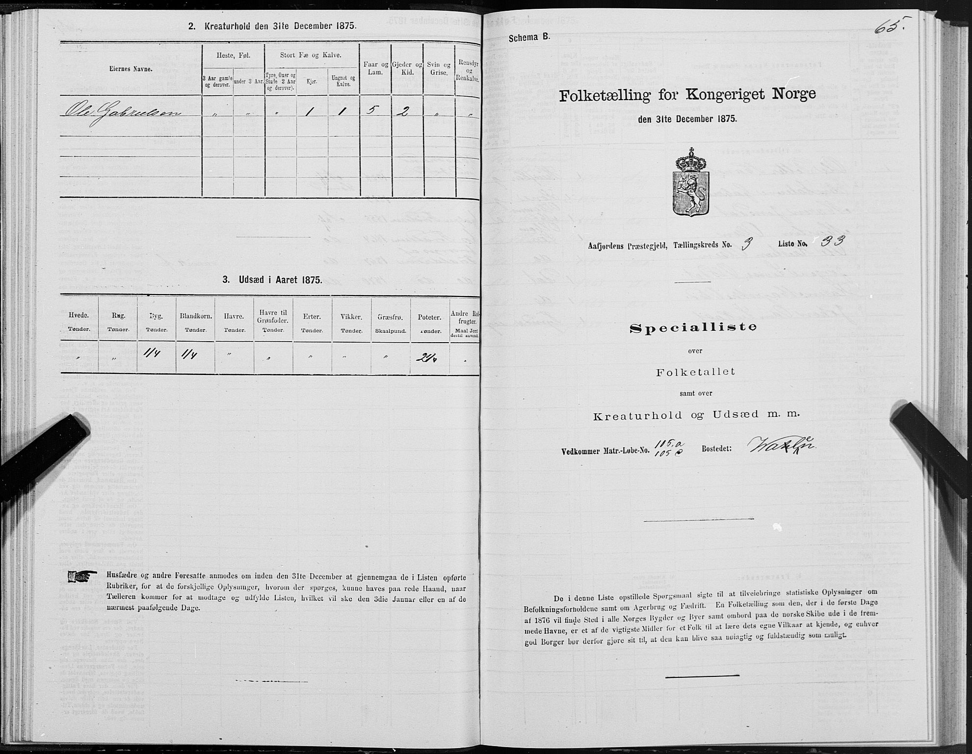 SAT, 1875 census for 1630P Aafjorden, 1875, p. 2065