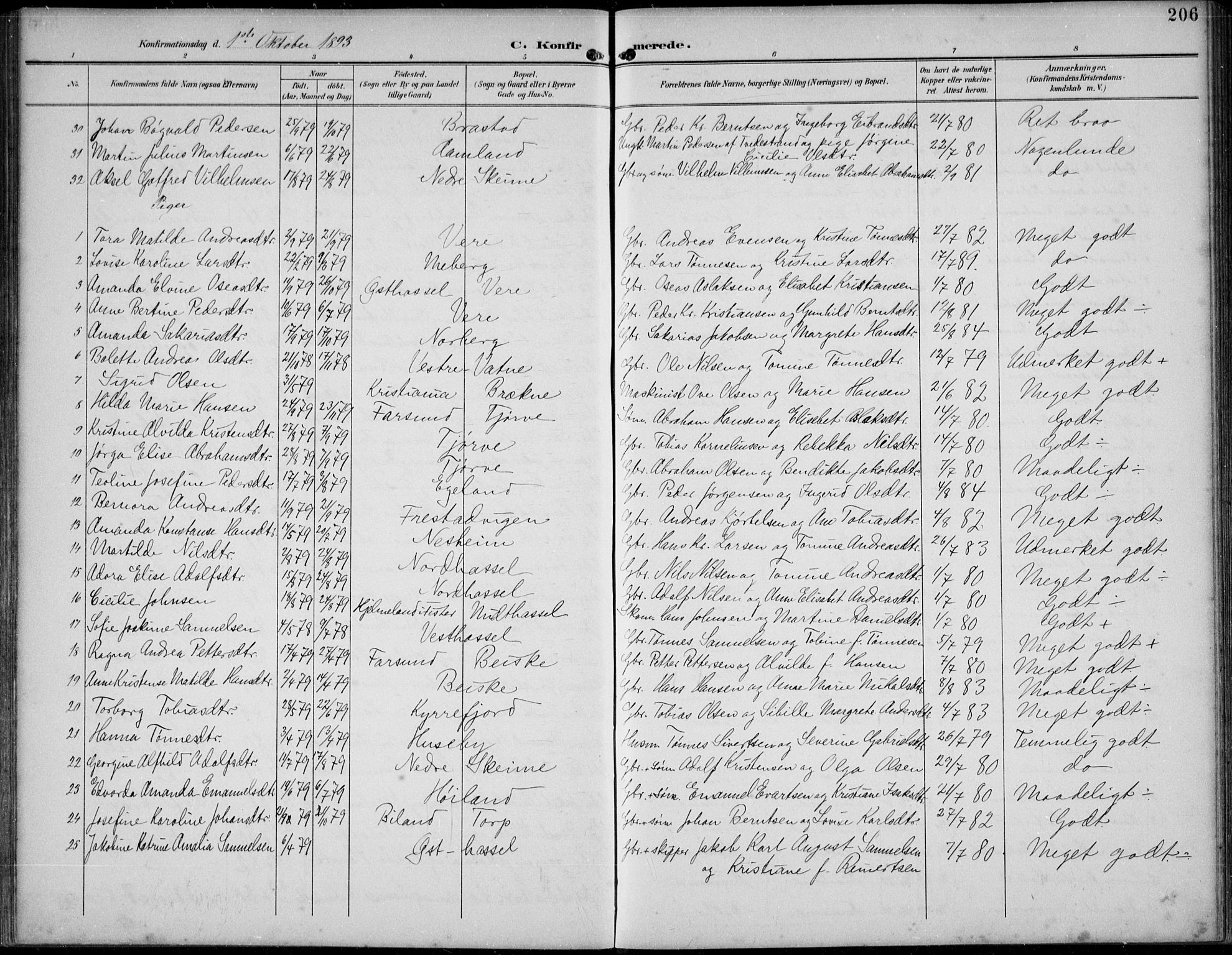 Lista sokneprestkontor, AV/SAK-1111-0027/F/Fb/L0005: Parish register (copy) no. B 5, 1892-1923, p. 206