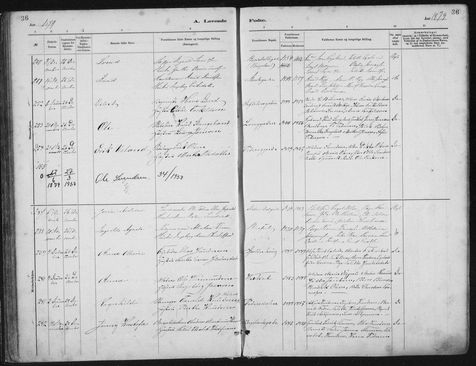 St. Petri sokneprestkontor, AV/SAST-A-101813/001/30/30BA/L0015: Parish register (official) no. A 15, 1879-1888, p. 36