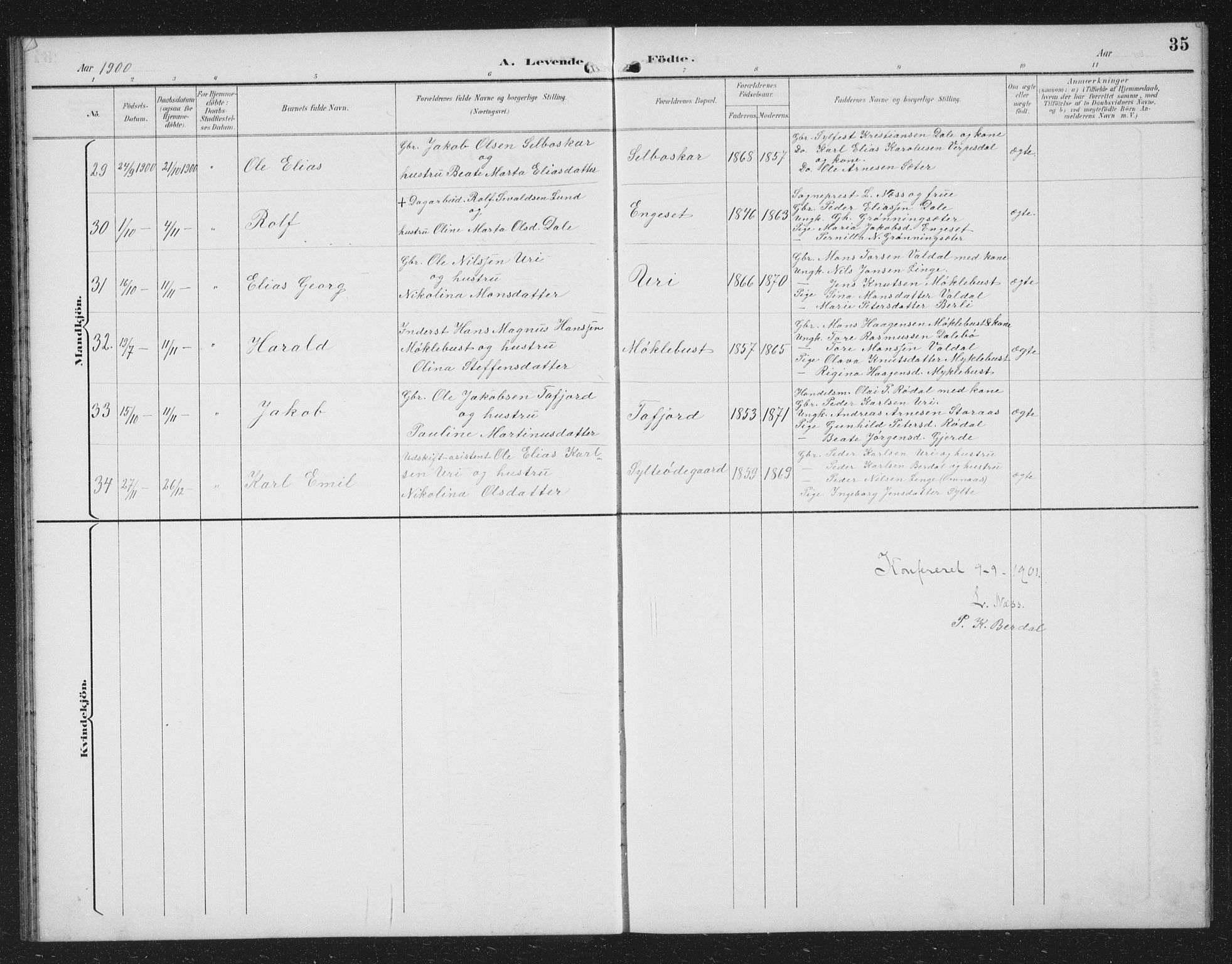 Ministerialprotokoller, klokkerbøker og fødselsregistre - Møre og Romsdal, AV/SAT-A-1454/519/L0264: Parish register (copy) no. 519C05, 1892-1910, p. 35