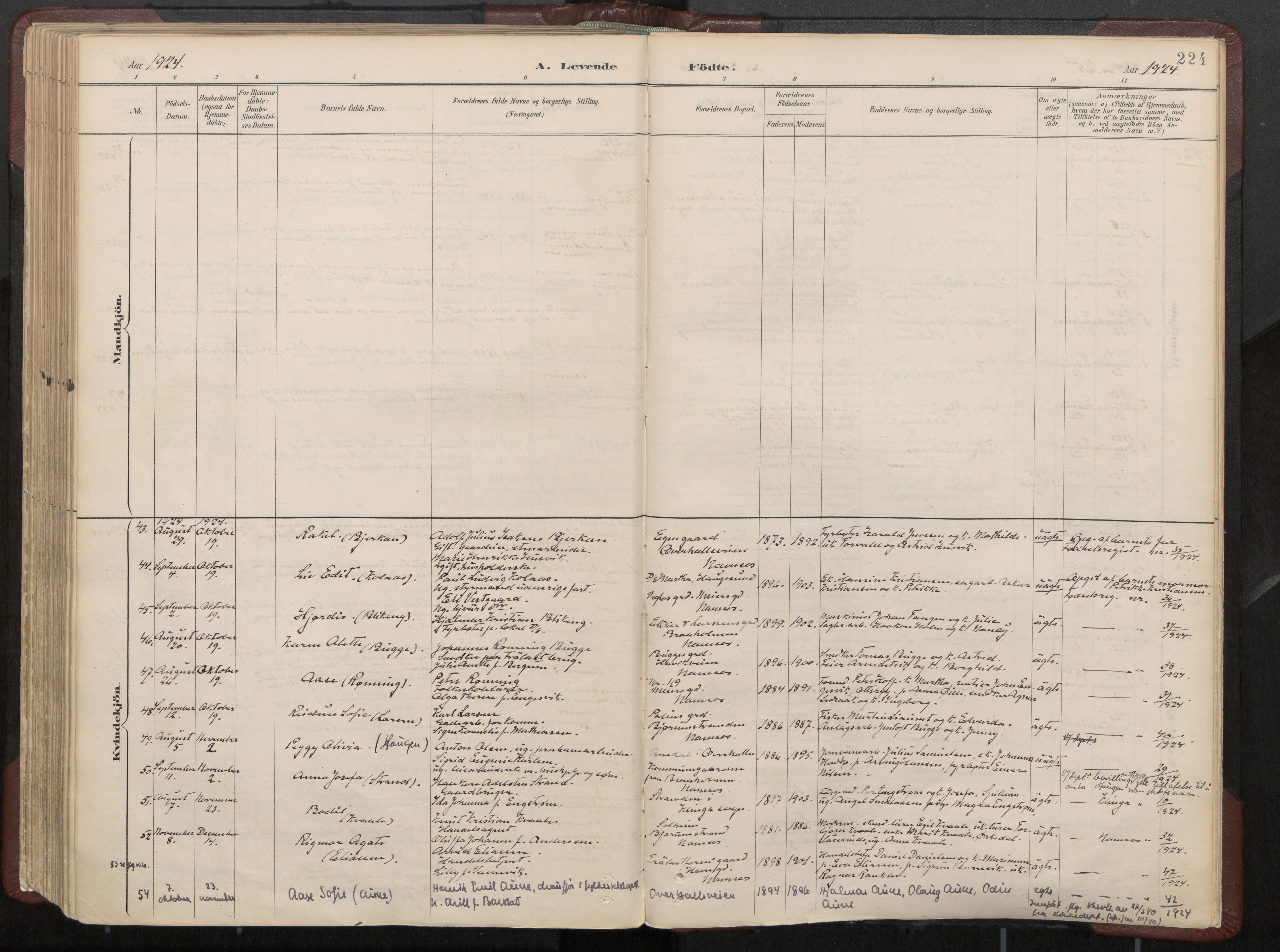 Ministerialprotokoller, klokkerbøker og fødselsregistre - Nord-Trøndelag, AV/SAT-A-1458/768/L0574: Parish register (official) no. 768A08, 1887-1927, p. 224