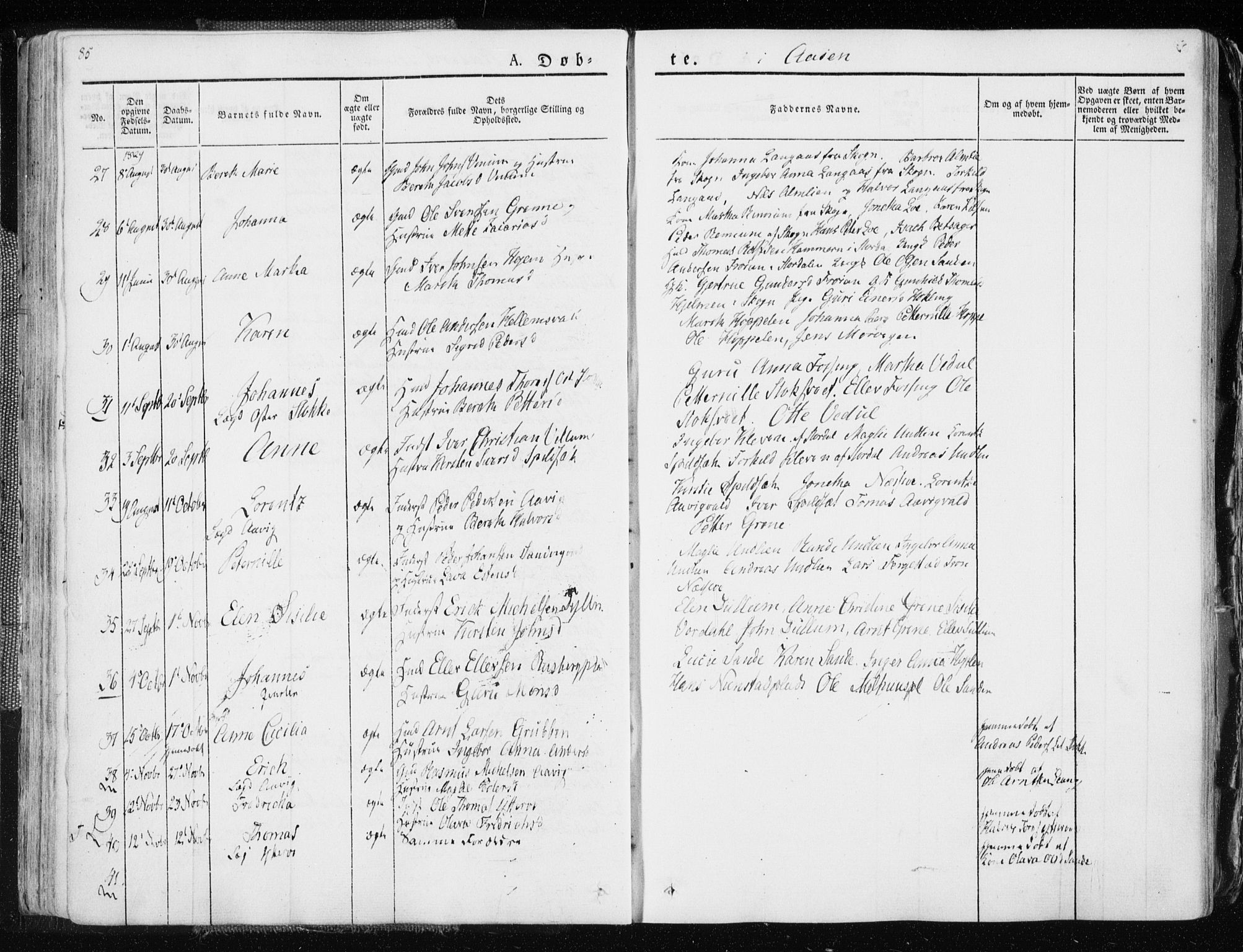 Ministerialprotokoller, klokkerbøker og fødselsregistre - Nord-Trøndelag, SAT/A-1458/713/L0114: Parish register (official) no. 713A05, 1827-1839, p. 85