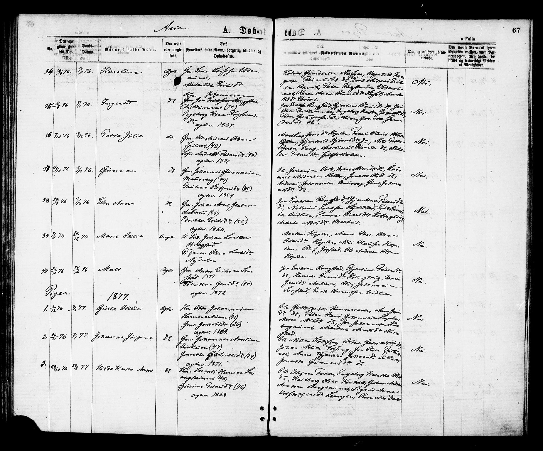 Ministerialprotokoller, klokkerbøker og fødselsregistre - Nord-Trøndelag, SAT/A-1458/713/L0118: Parish register (official) no. 713A08 /2, 1875-1877, p. 67