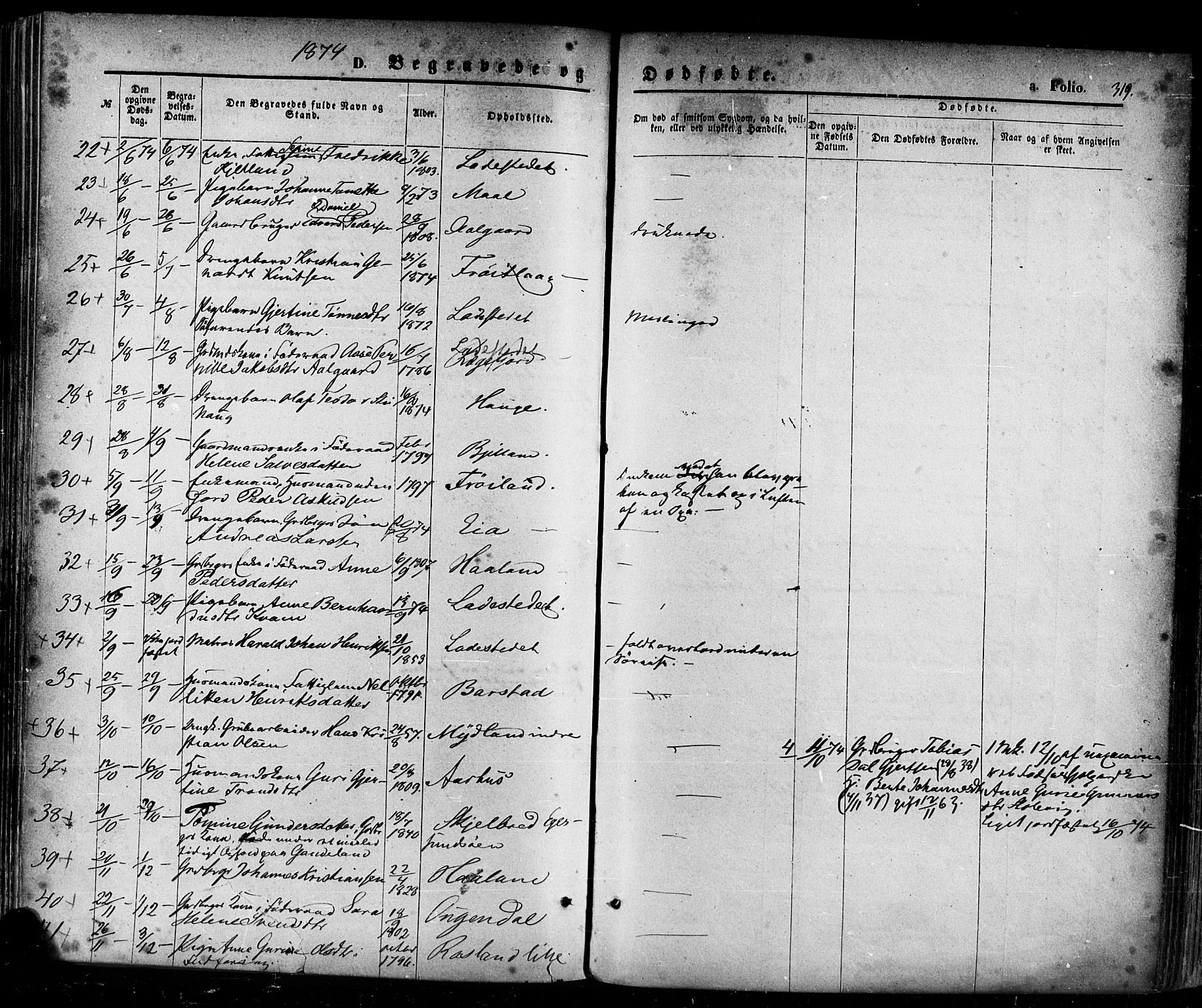 Sokndal sokneprestkontor, SAST/A-101808: Parish register (official) no. A 10, 1874-1886, p. 319