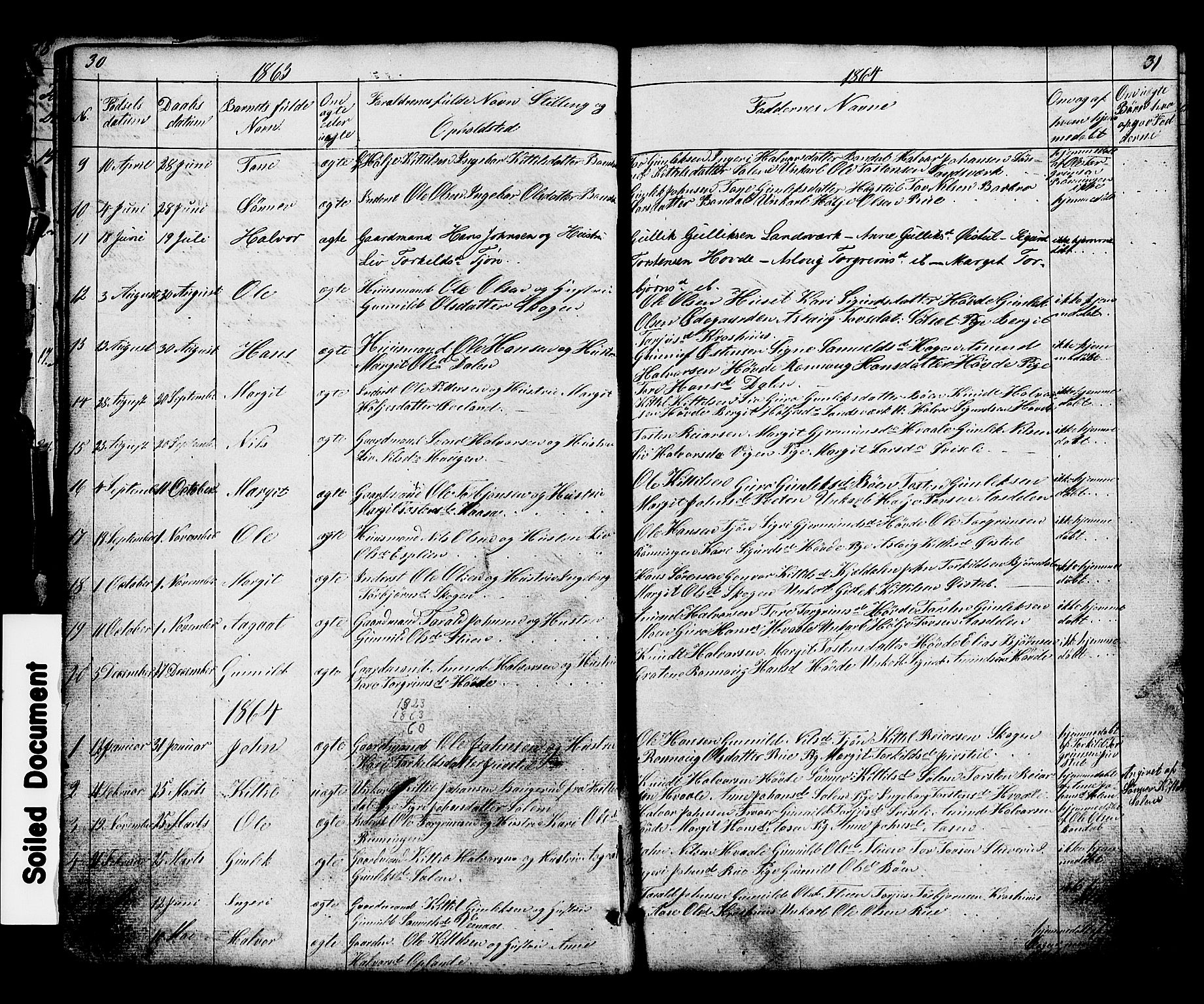 Hjartdal kirkebøker, SAKO/A-270/G/Gc/L0002: Parish register (copy) no. III 2, 1854-1890, p. 30-31