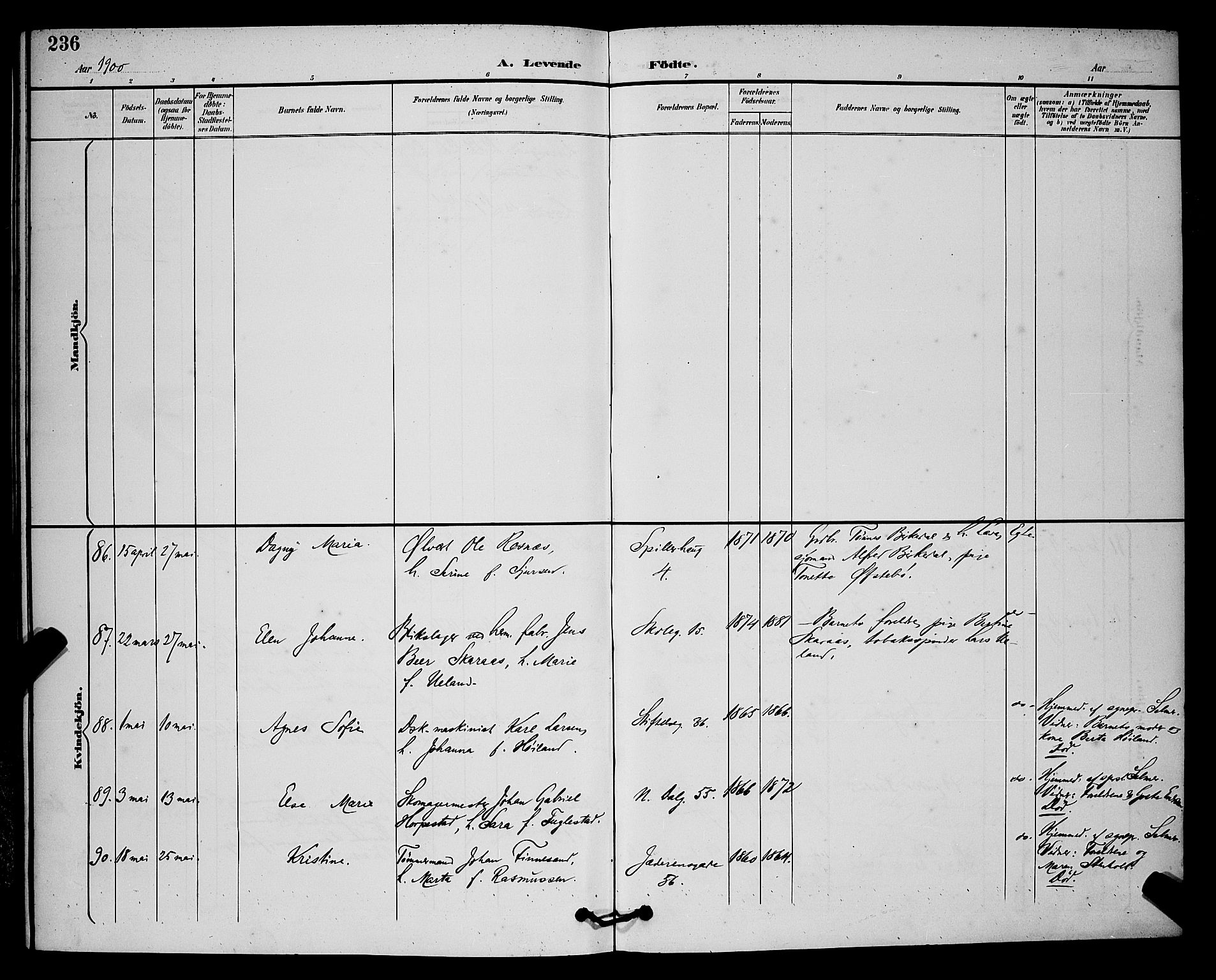 St. Johannes sokneprestkontor, AV/SAST-A-101814/001/30/30BB/L0003: Parish register (copy) no. B 3, 1893-1900, p. 236