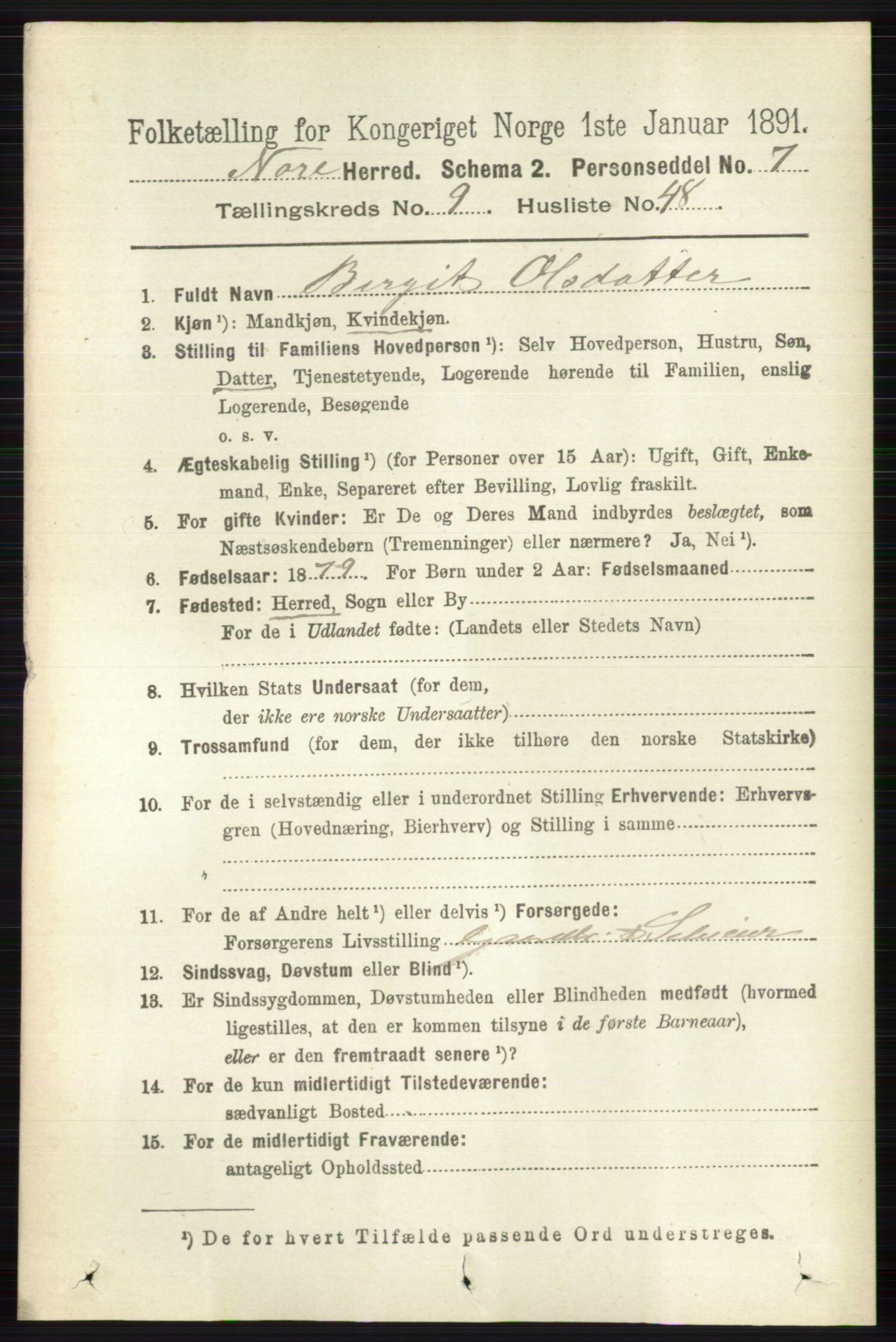 RA, 1891 census for 0633 Nore, 1891, p. 3495