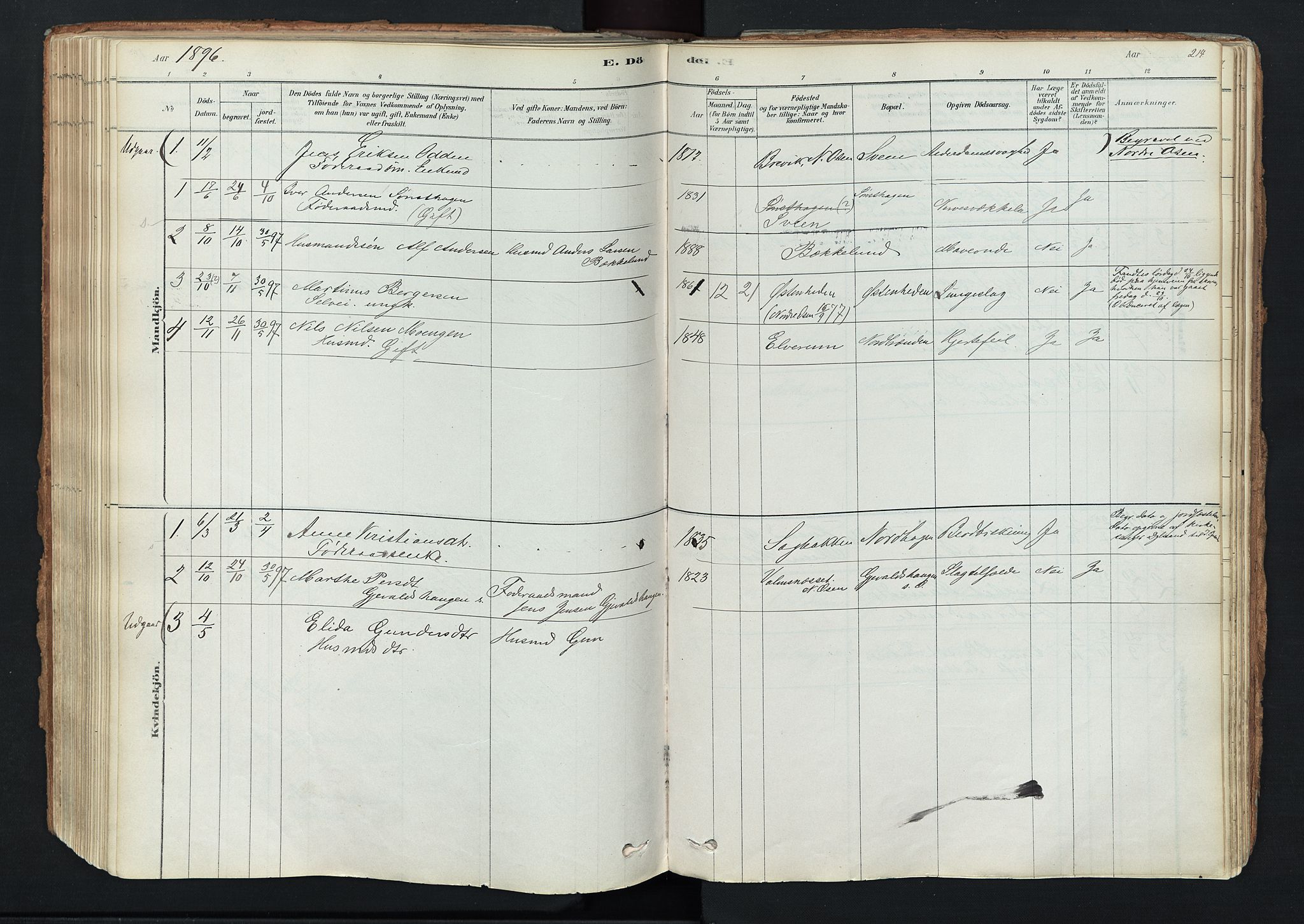 Trysil prestekontor, SAH/PREST-046/H/Ha/Haa/L0011: Parish register (official) no. 11, 1878-1912, p. 214