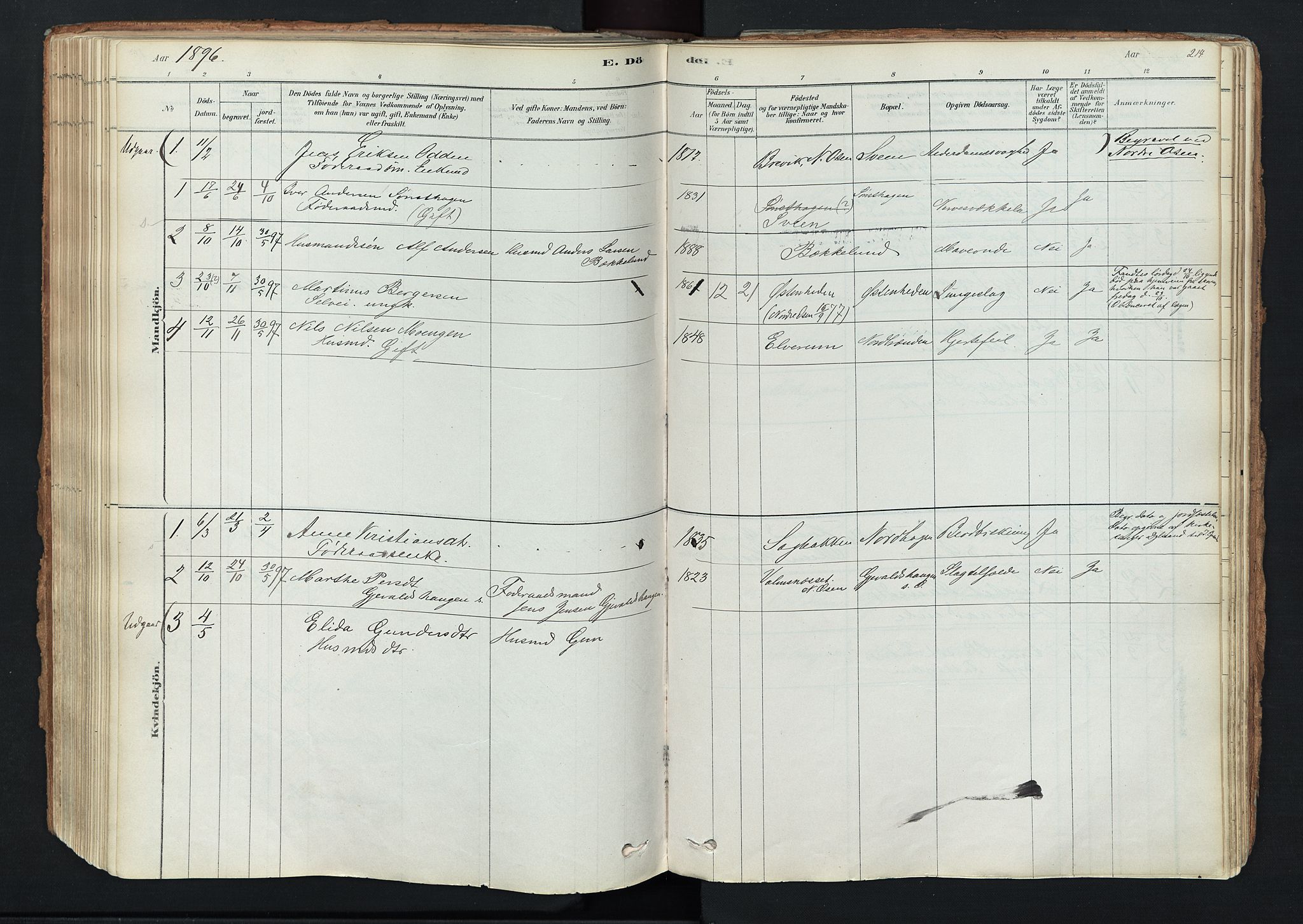 Trysil prestekontor, AV/SAH-PREST-046/H/Ha/Haa/L0011: Parish register (official) no. 11, 1878-1912, p. 214