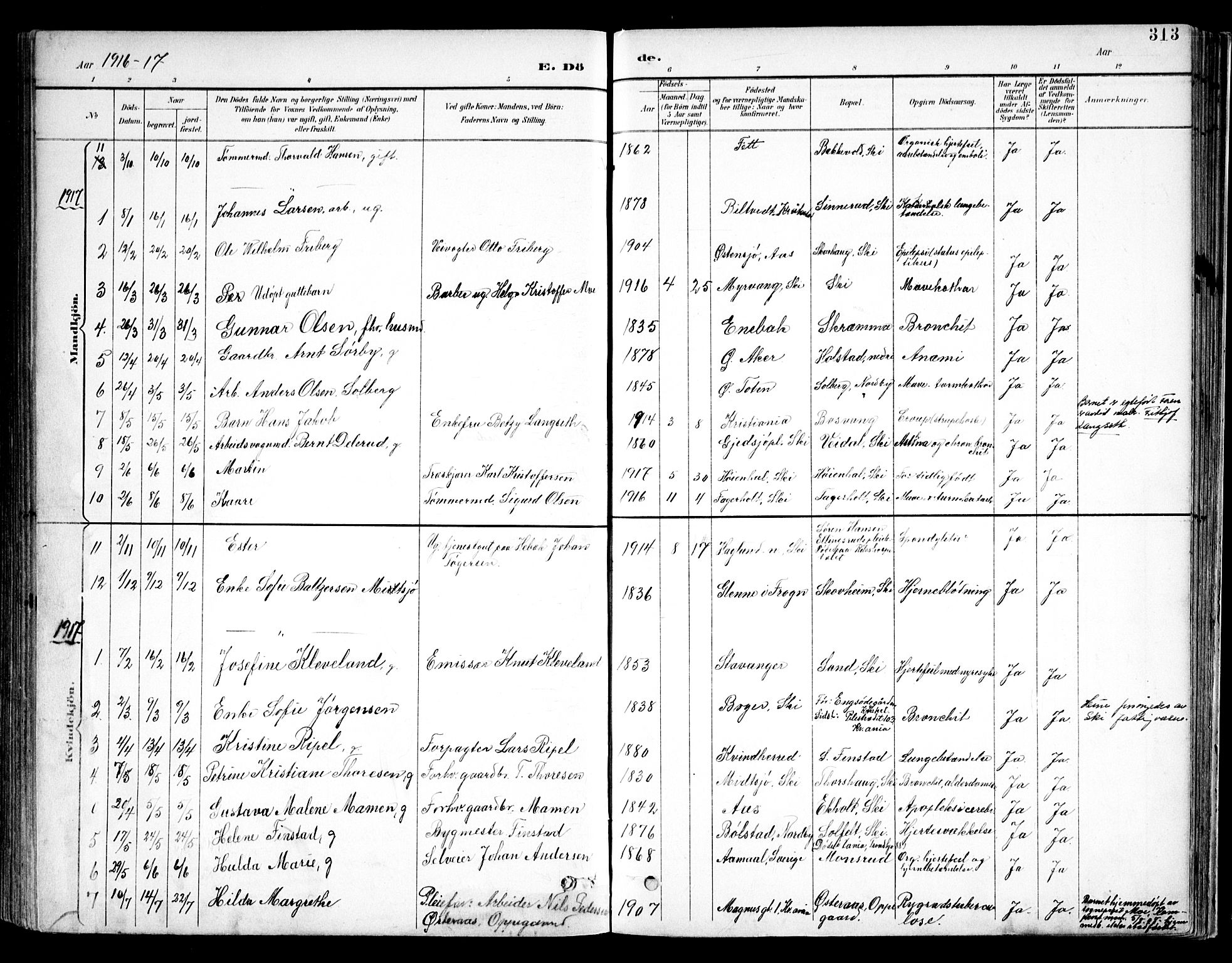 Kråkstad prestekontor Kirkebøker, SAO/A-10125a/F/Fb/L0002: Parish register (official) no. II 2, 1893-1917, p. 313