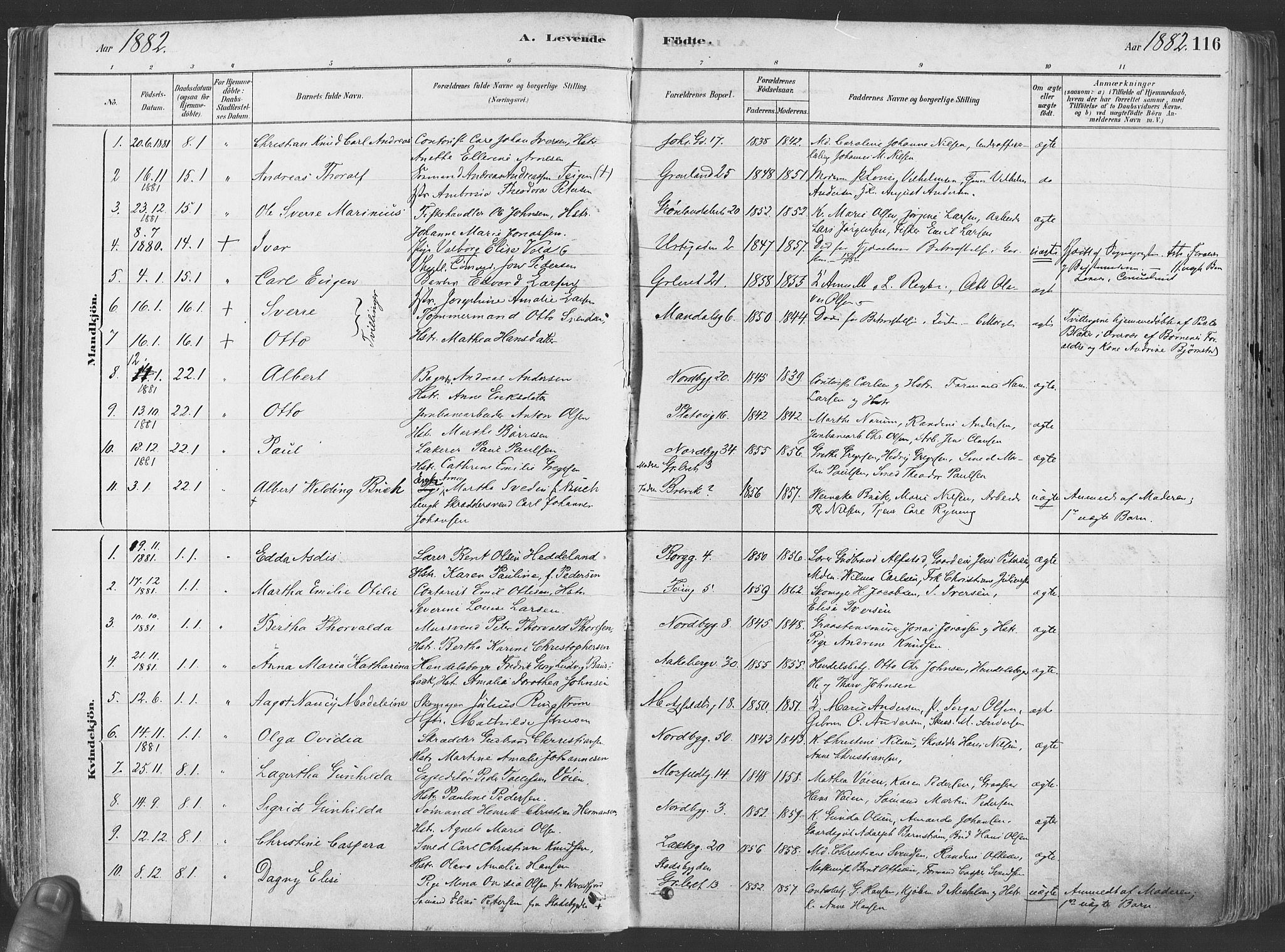 Grønland prestekontor Kirkebøker, AV/SAO-A-10848/F/Fa/L0007: Parish register (official) no. 7, 1878-1888, p. 116