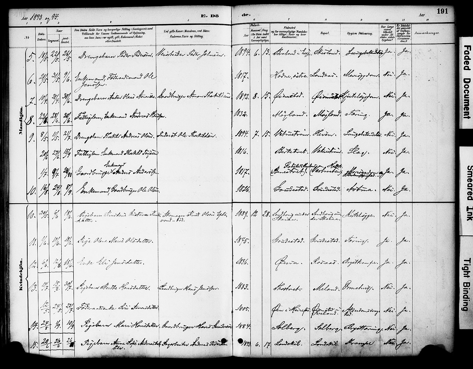 Evje sokneprestkontor, AV/SAK-1111-0008/F/Fa/Fac/L0003: Parish register (official) no. A 3, 1884-1909, p. 191