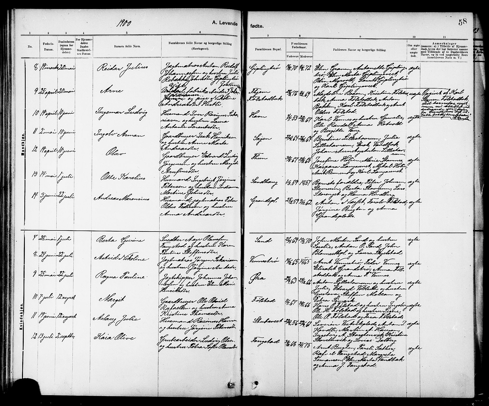 Ministerialprotokoller, klokkerbøker og fødselsregistre - Nord-Trøndelag, AV/SAT-A-1458/744/L0423: Parish register (copy) no. 744C02, 1886-1905, p. 58