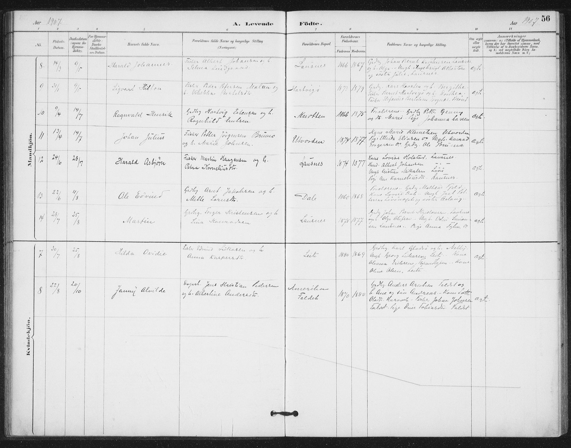 Ministerialprotokoller, klokkerbøker og fødselsregistre - Nord-Trøndelag, SAT/A-1458/772/L0603: Parish register (official) no. 772A01, 1885-1912, p. 56
