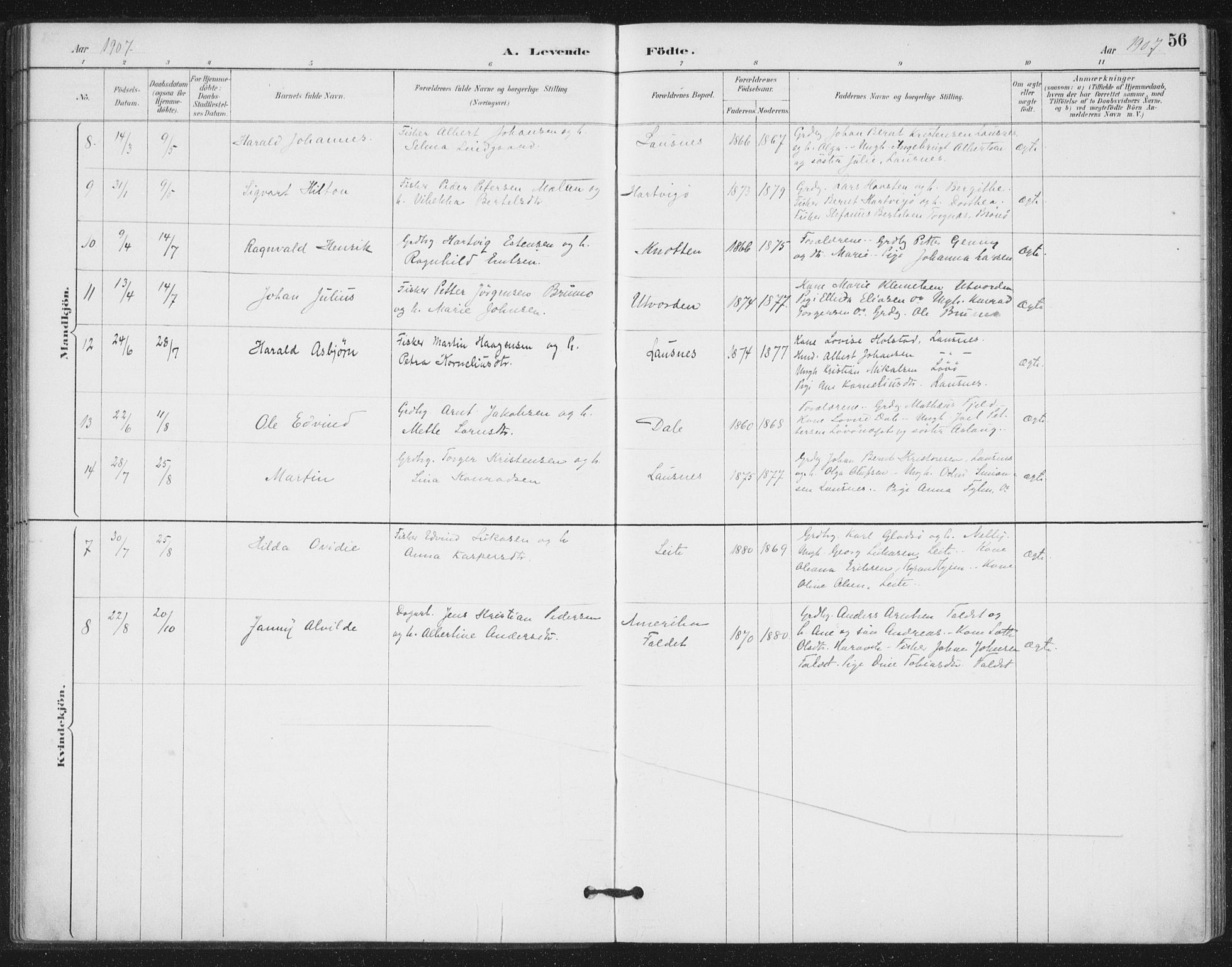 Ministerialprotokoller, klokkerbøker og fødselsregistre - Nord-Trøndelag, AV/SAT-A-1458/772/L0603: Parish register (official) no. 772A01, 1885-1912, p. 56