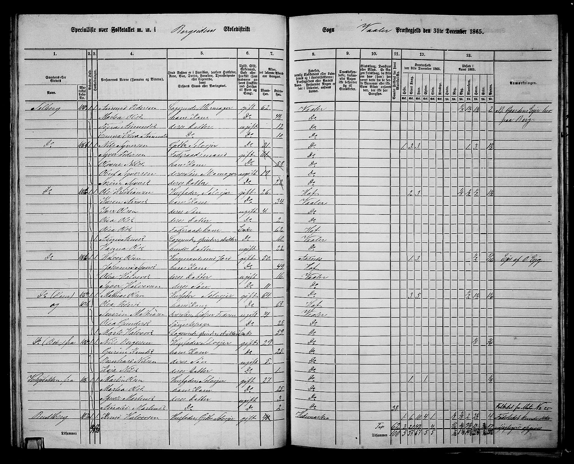 RA, 1865 census for Våler, 1865, p. 53