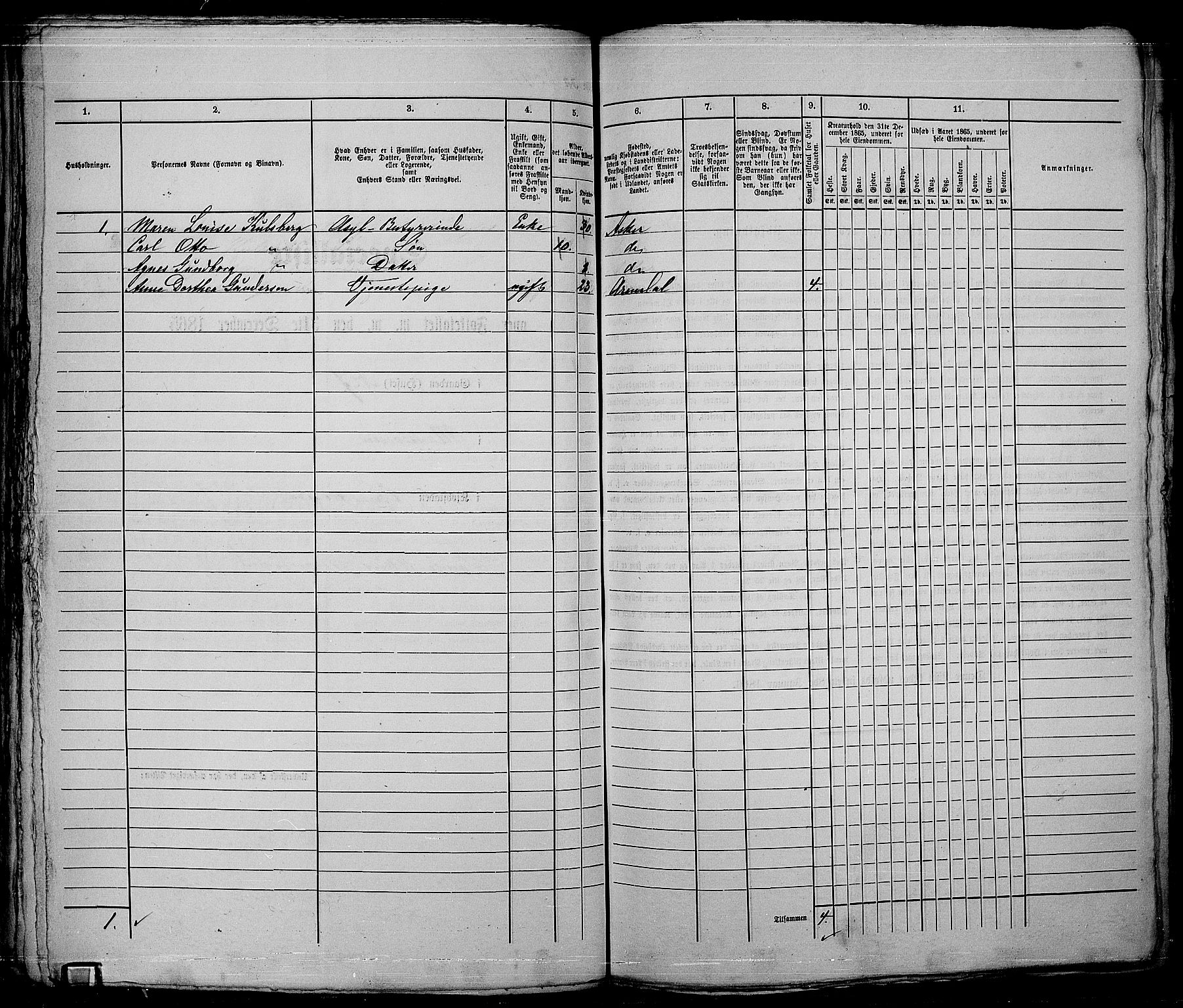 RA, 1865 census for Kristiania, 1865, p. 4560