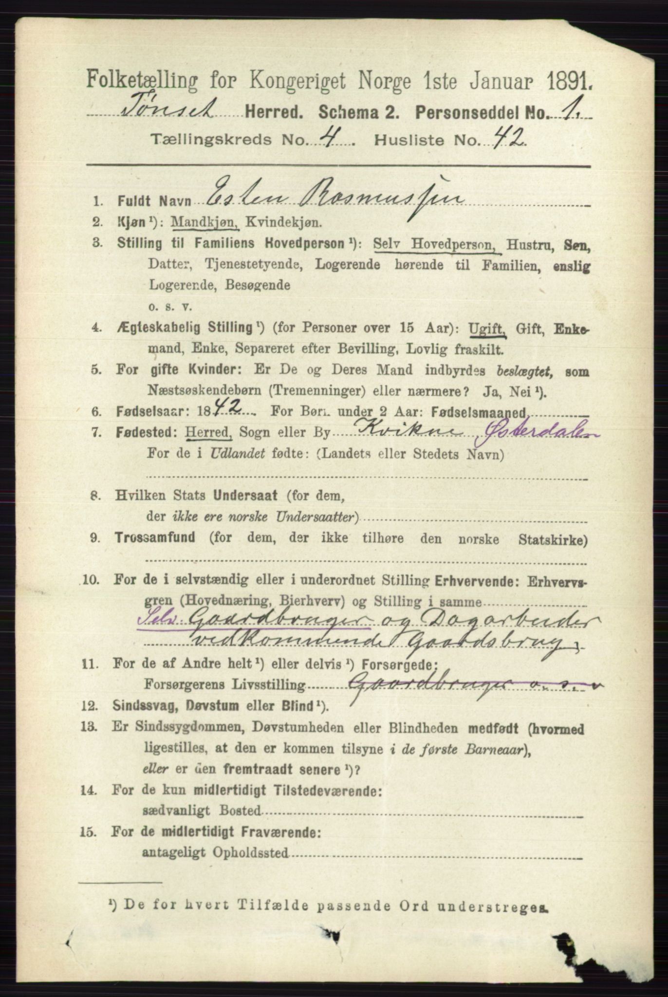 RA, 1891 census for 0437 Tynset, 1891, p. 1011